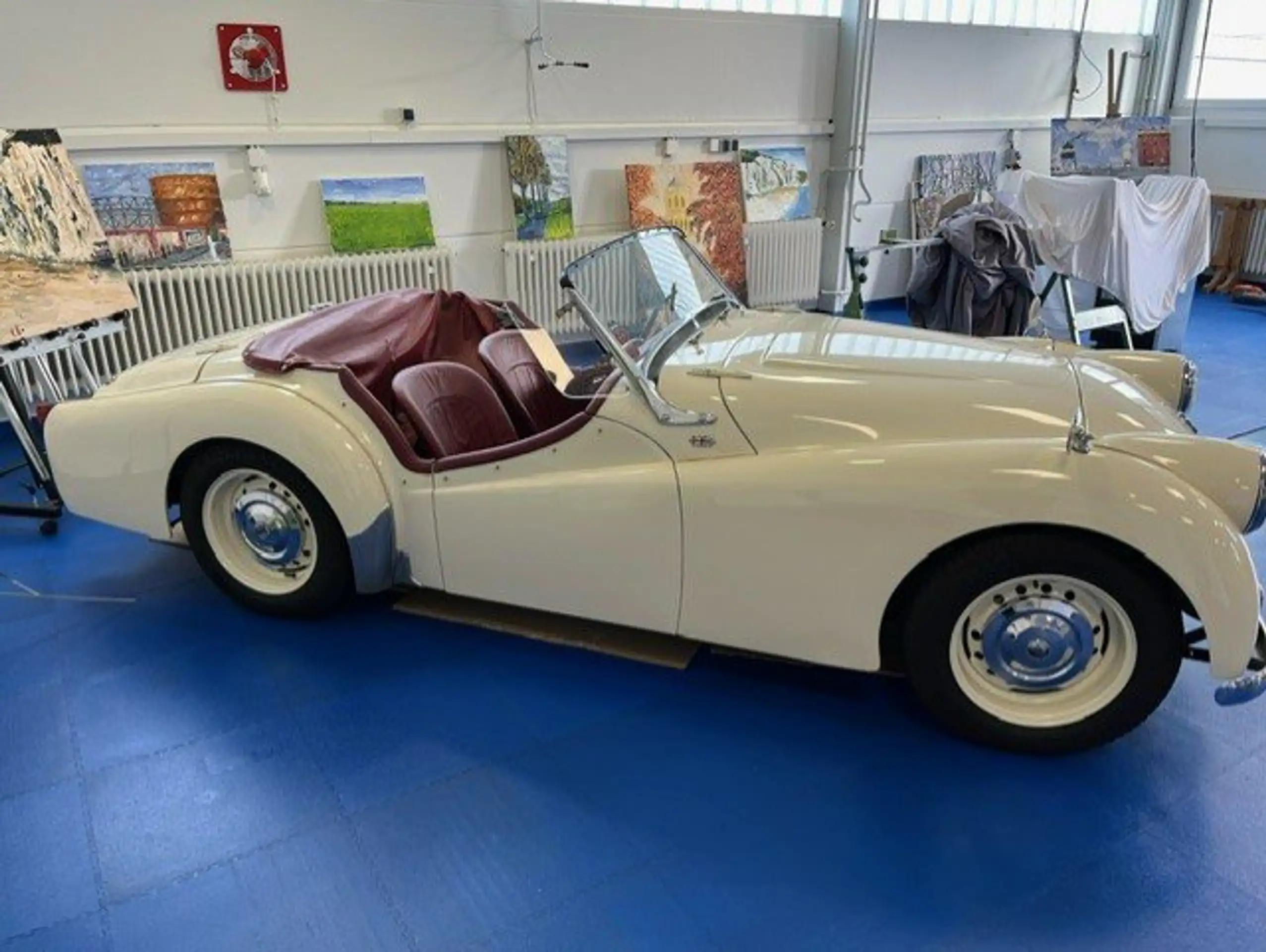 Triumph - TR2