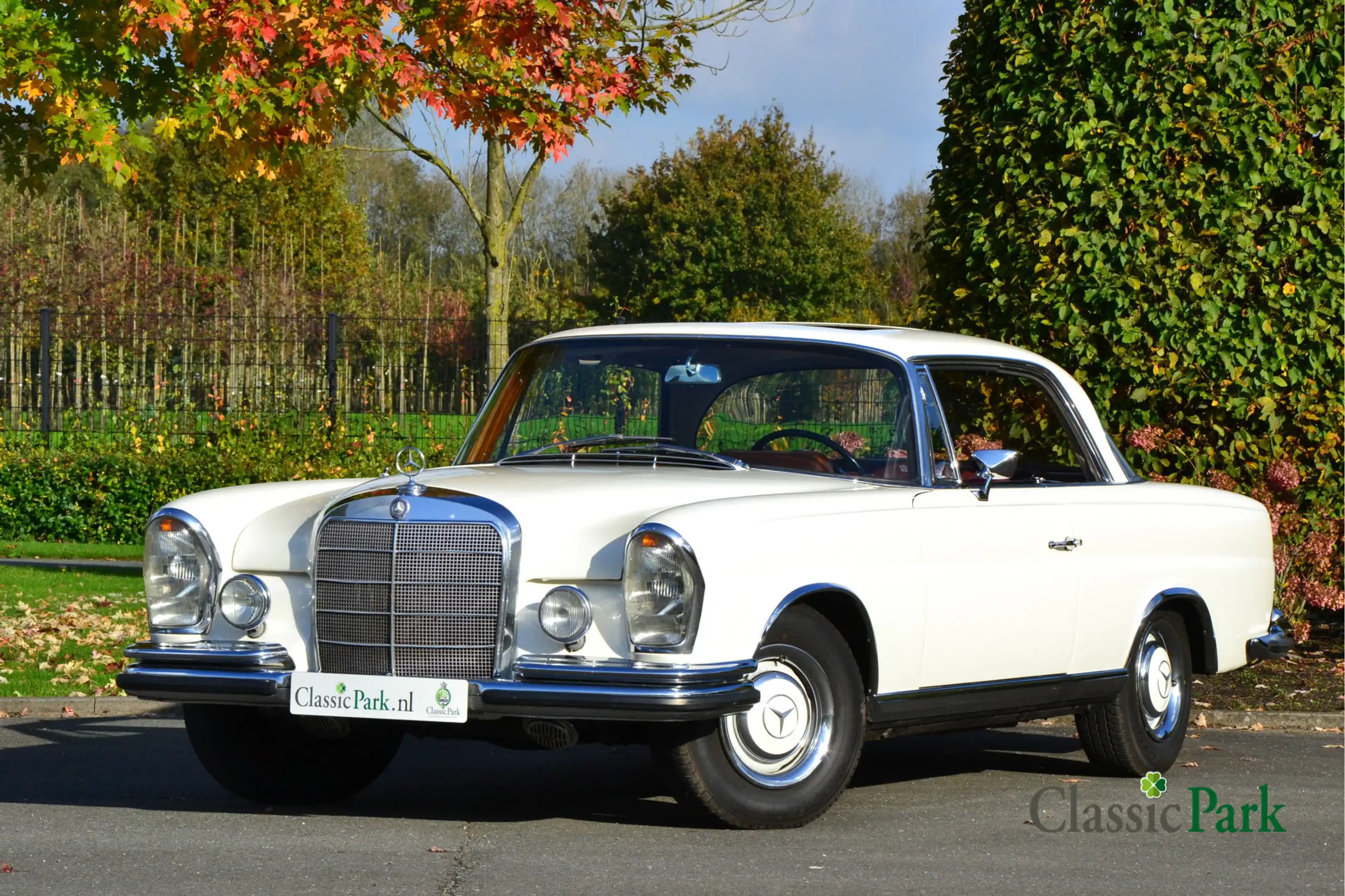 Mercedes-Benz 250 1966