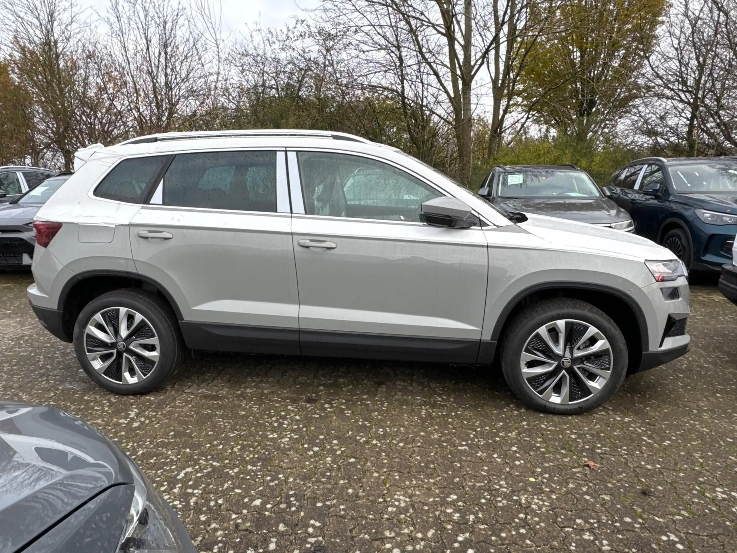 Skoda - Karoq