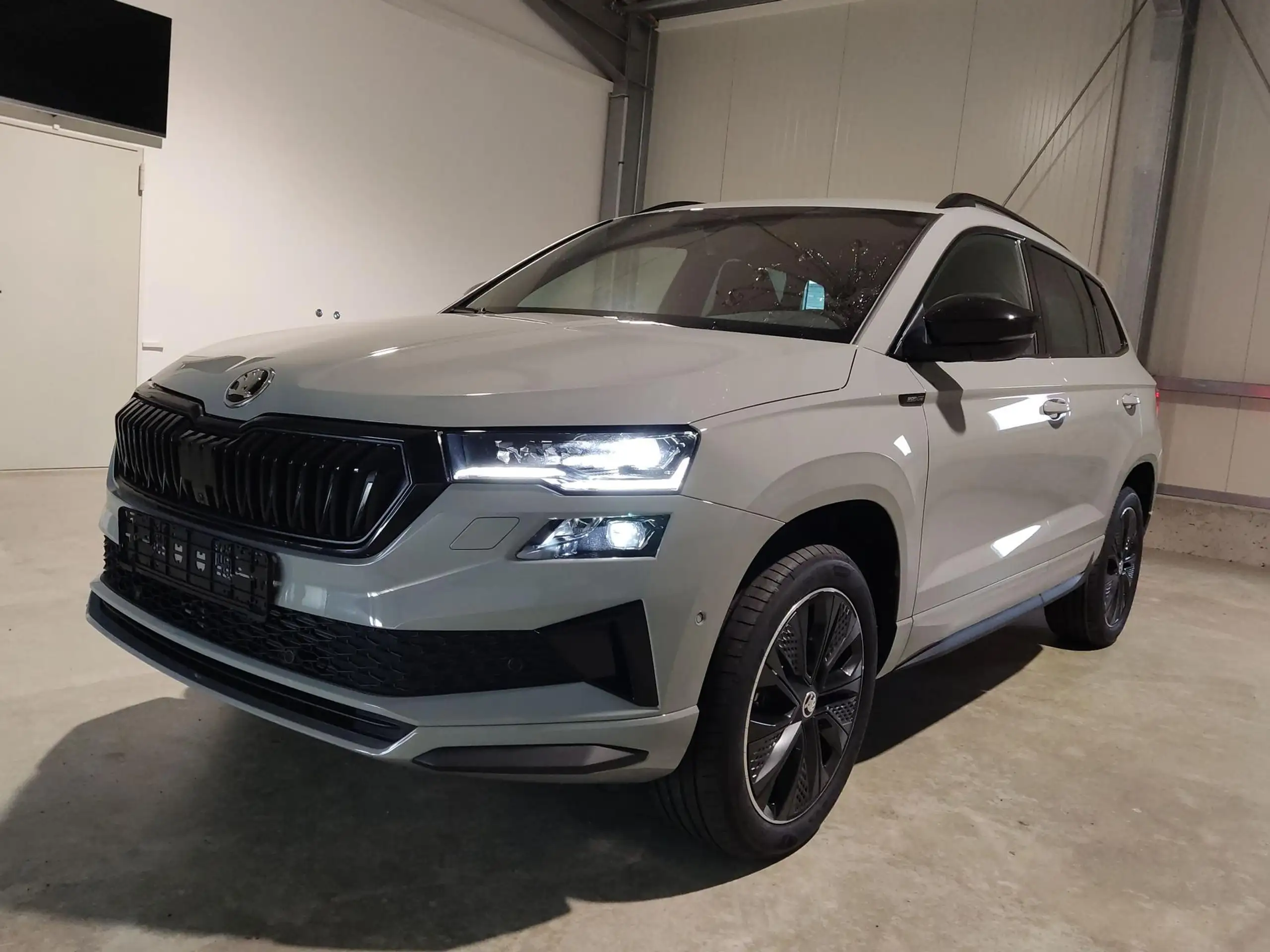 Skoda - Karoq