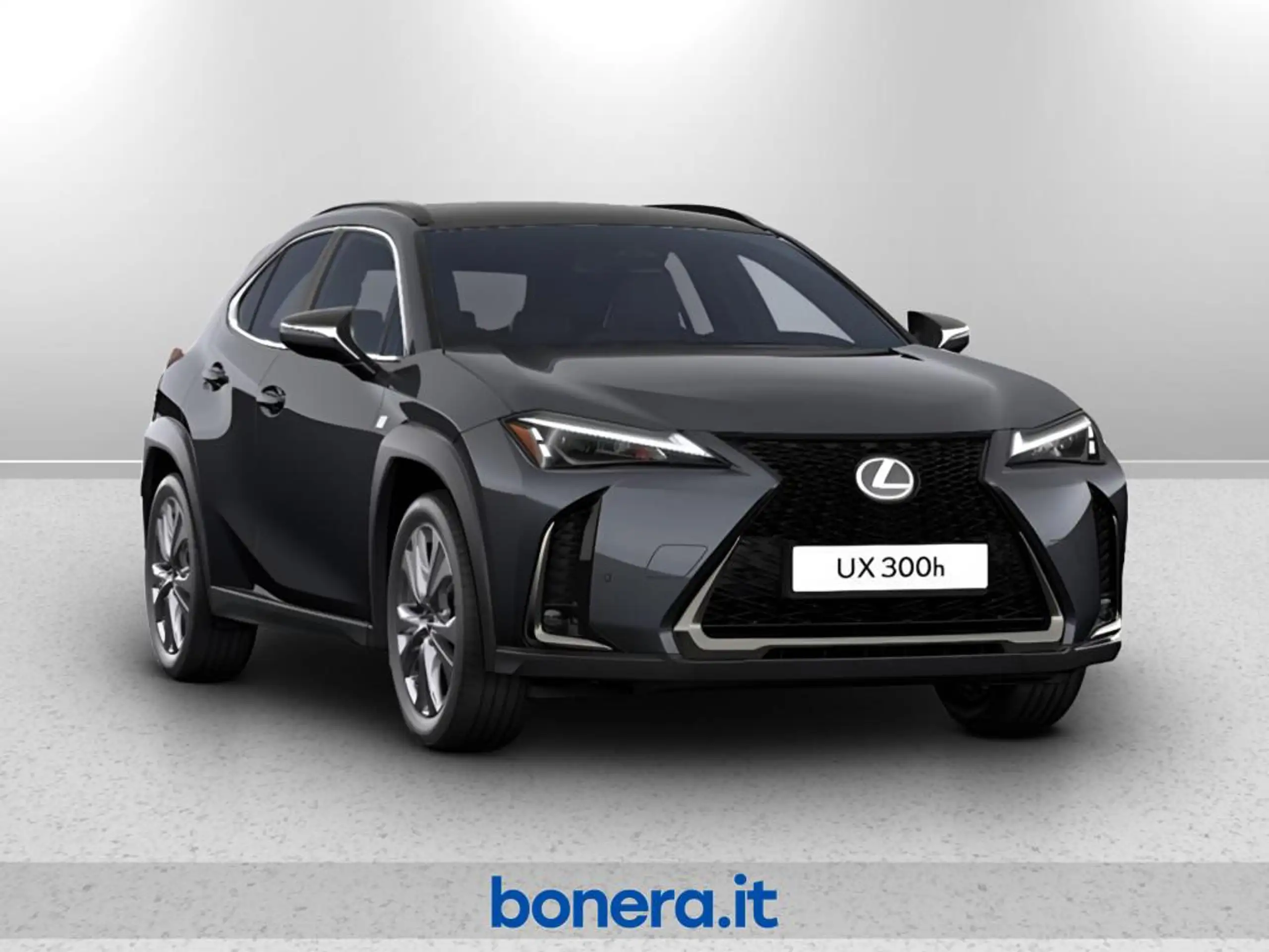 Lexus - UX 300e