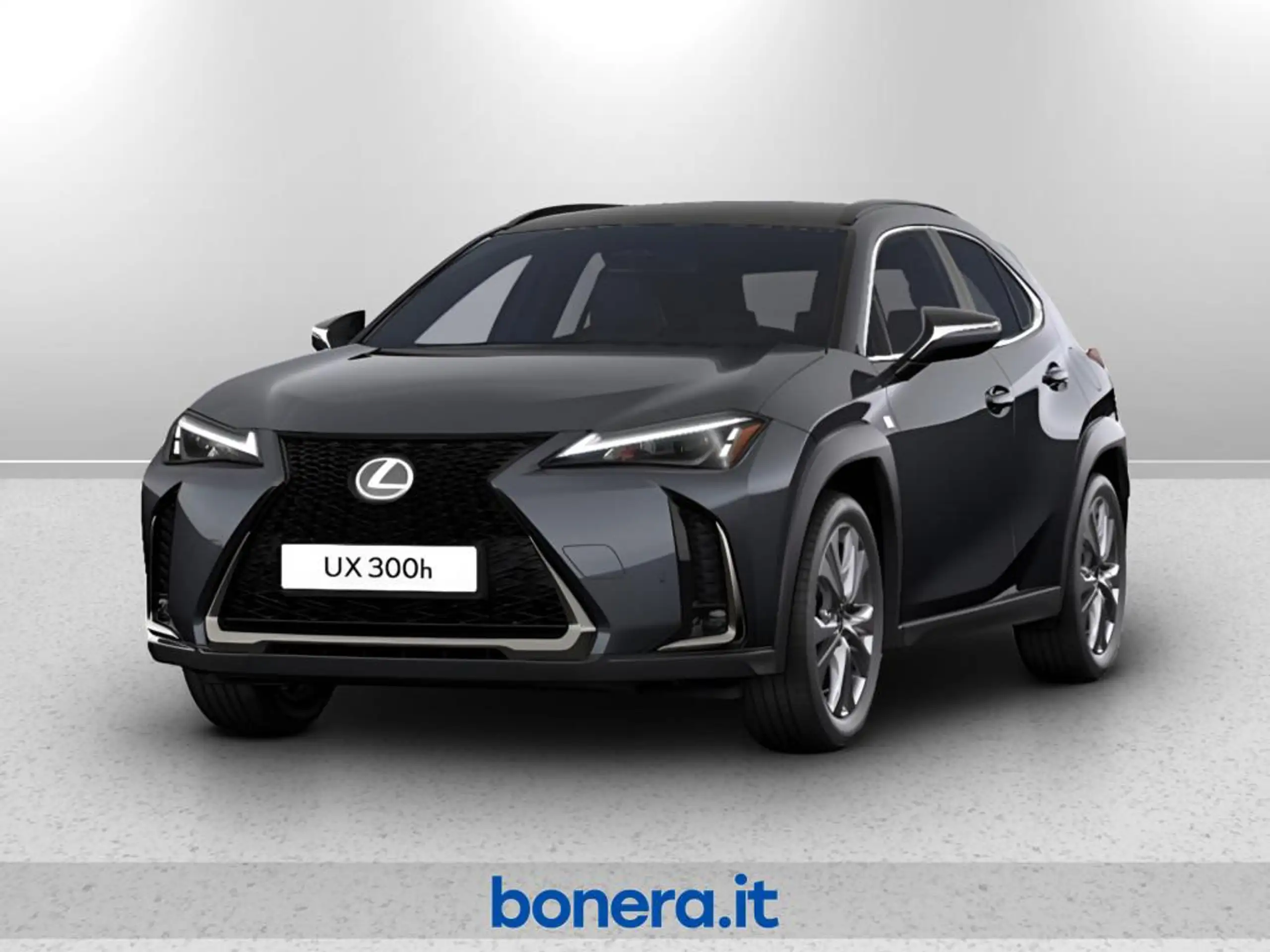 Lexus - UX 300e