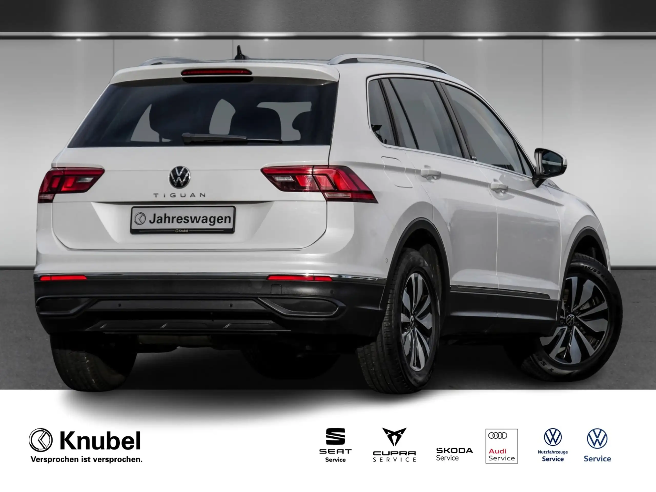 Volkswagen - Tiguan