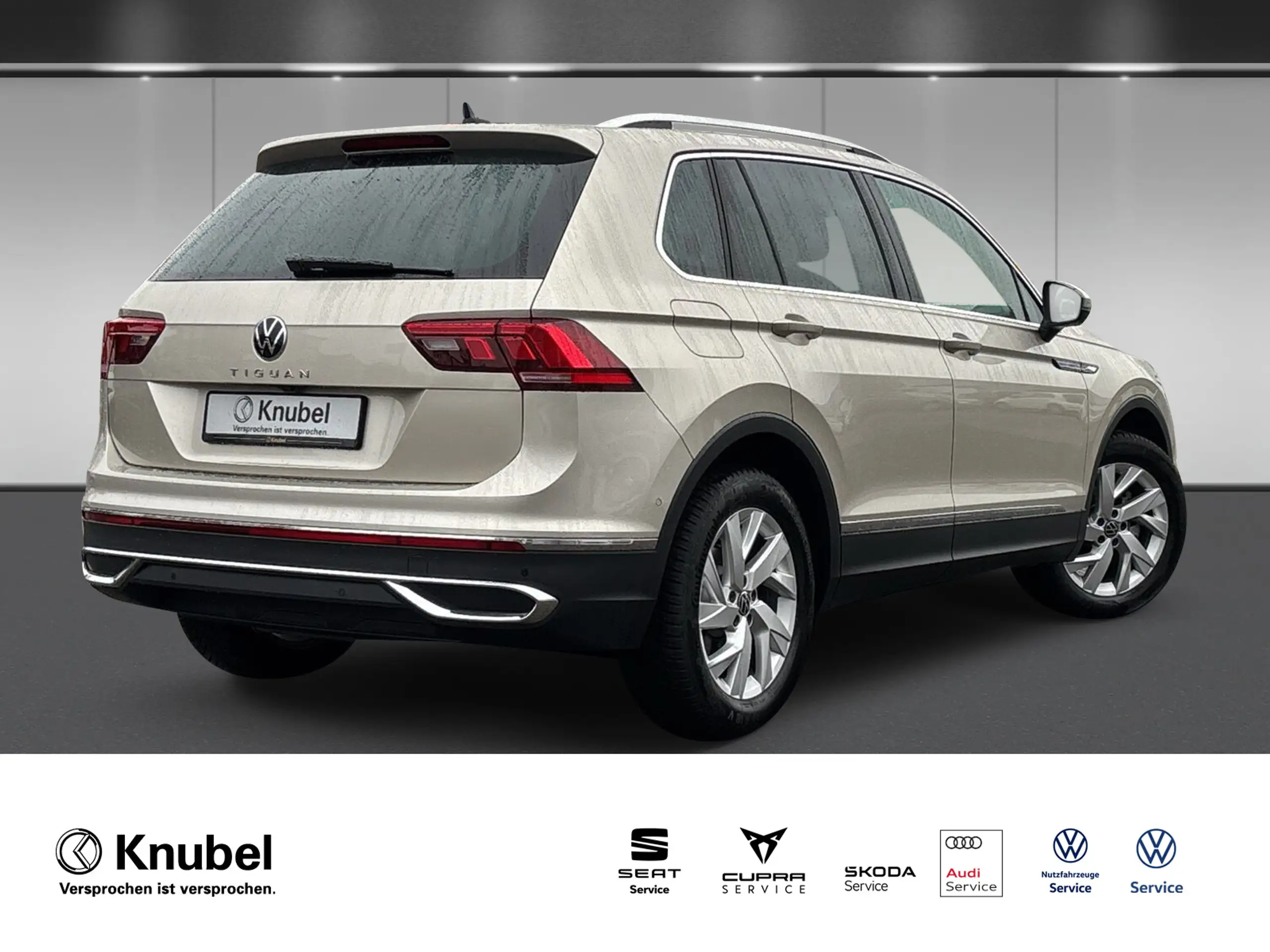 Volkswagen - Tiguan