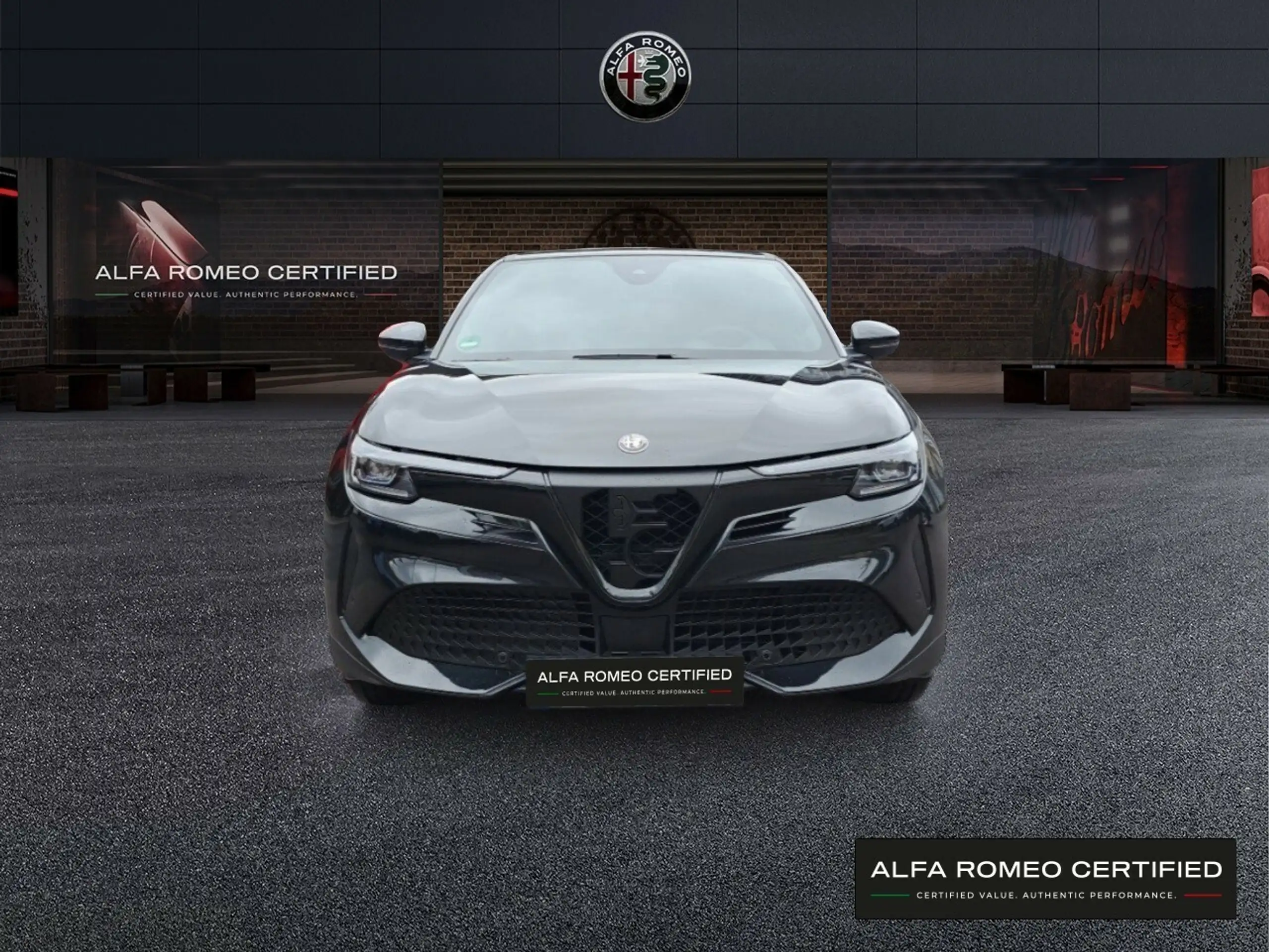 Alfa Romeo - Junior