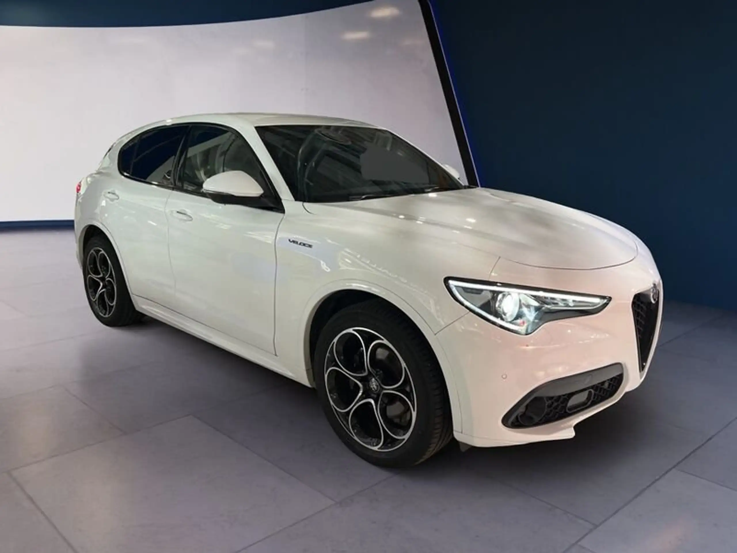 Alfa Romeo - Stelvio