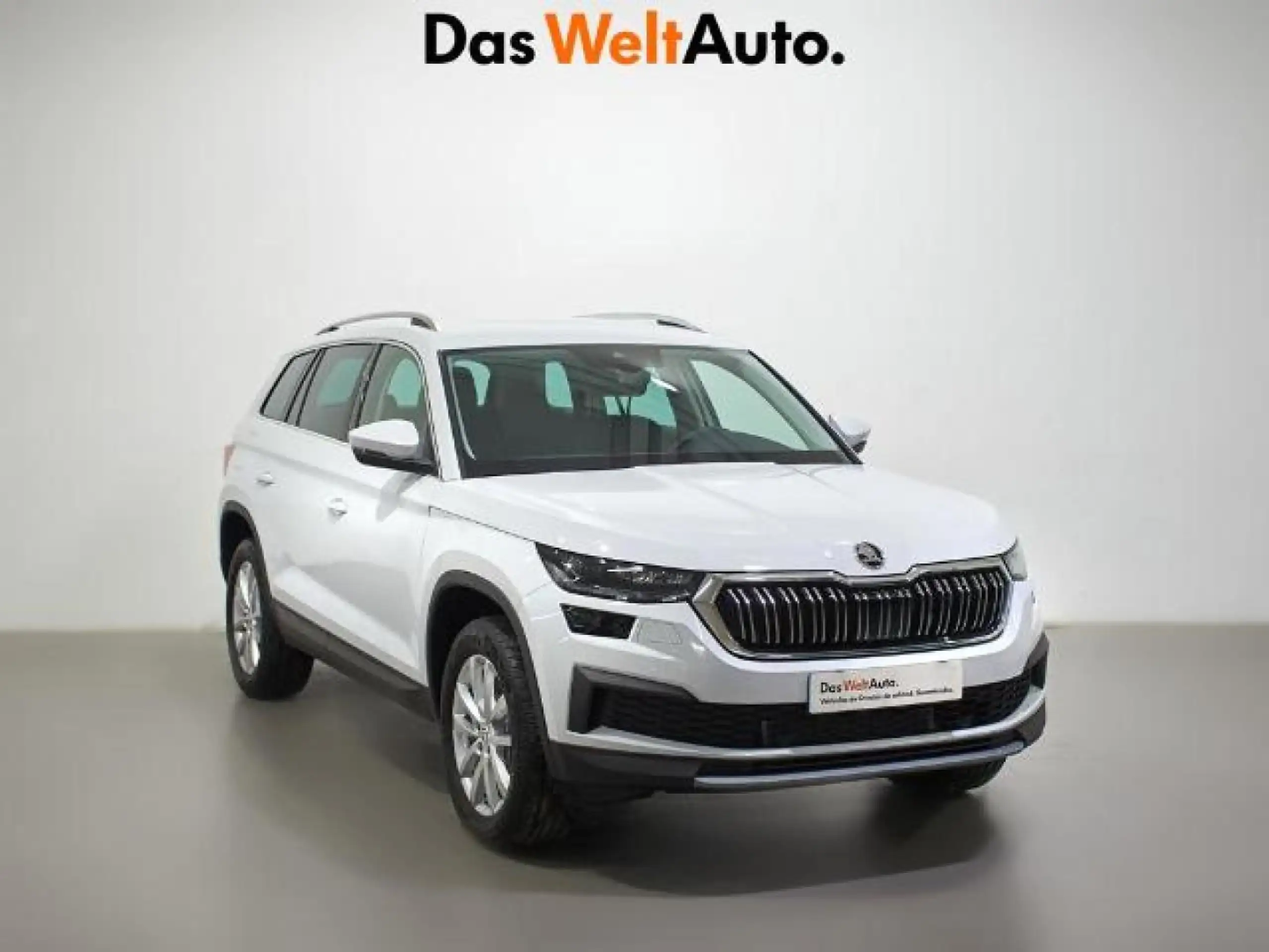 Skoda - Kodiaq