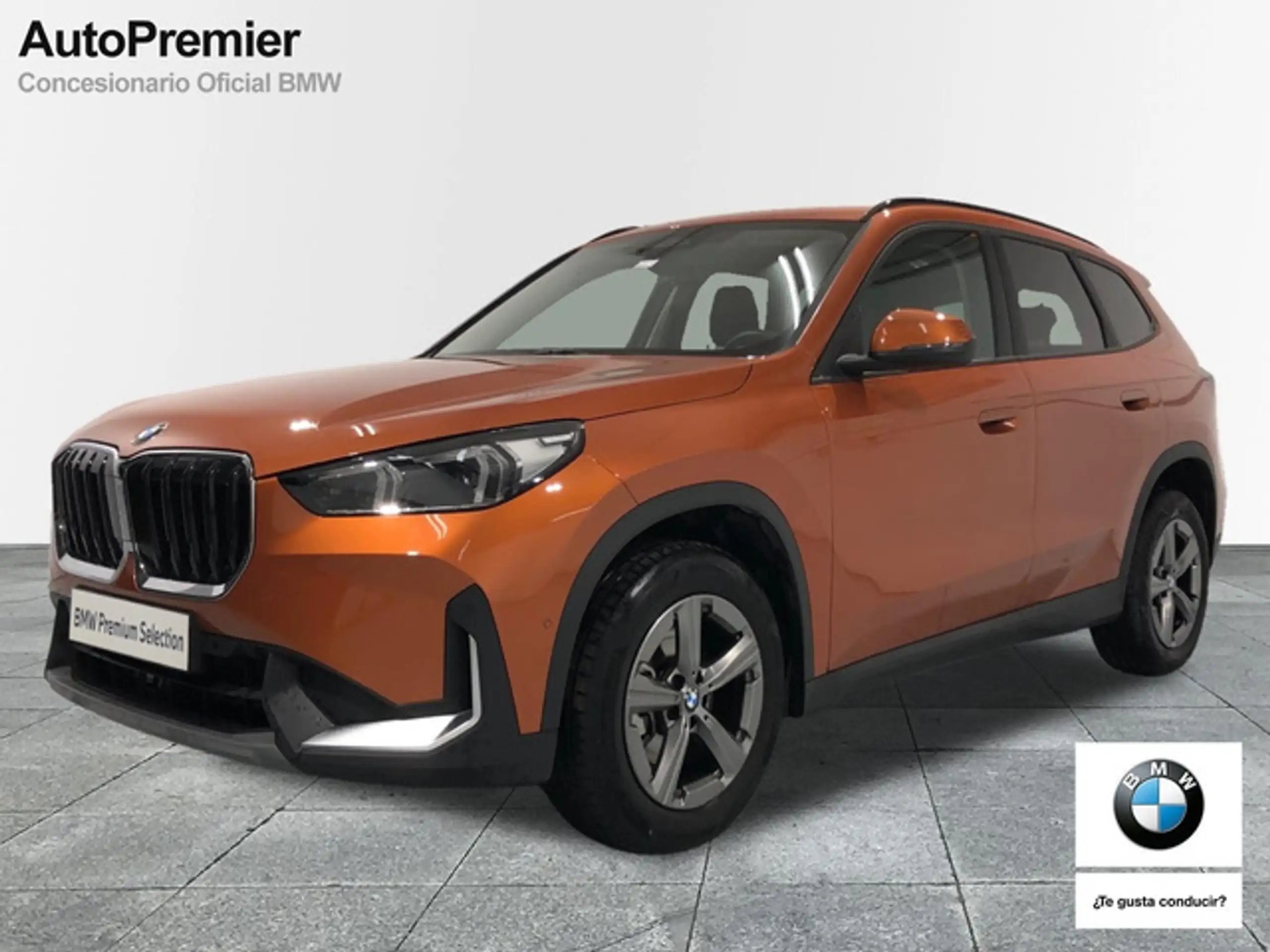 BMW - X1