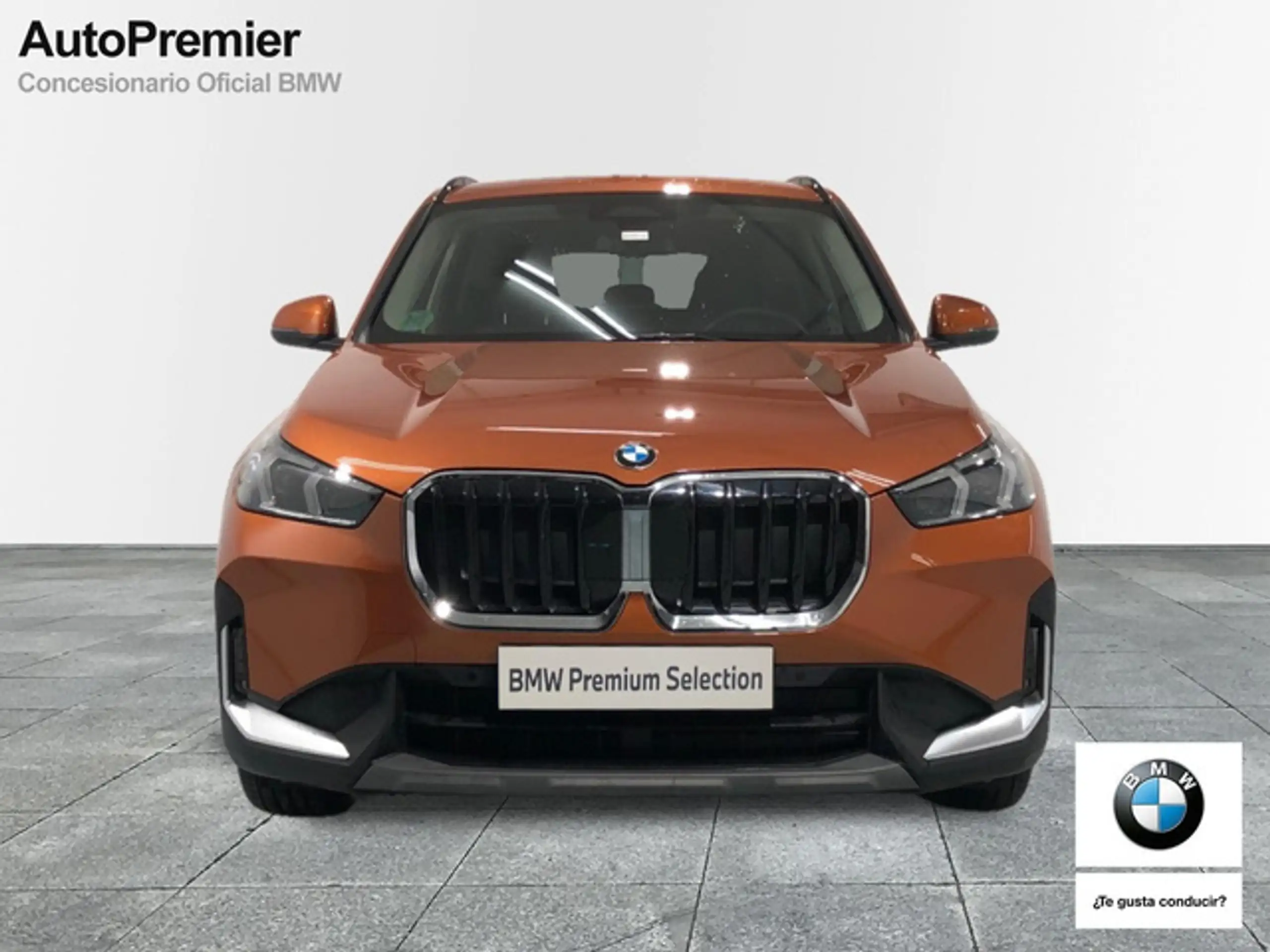 BMW - X1