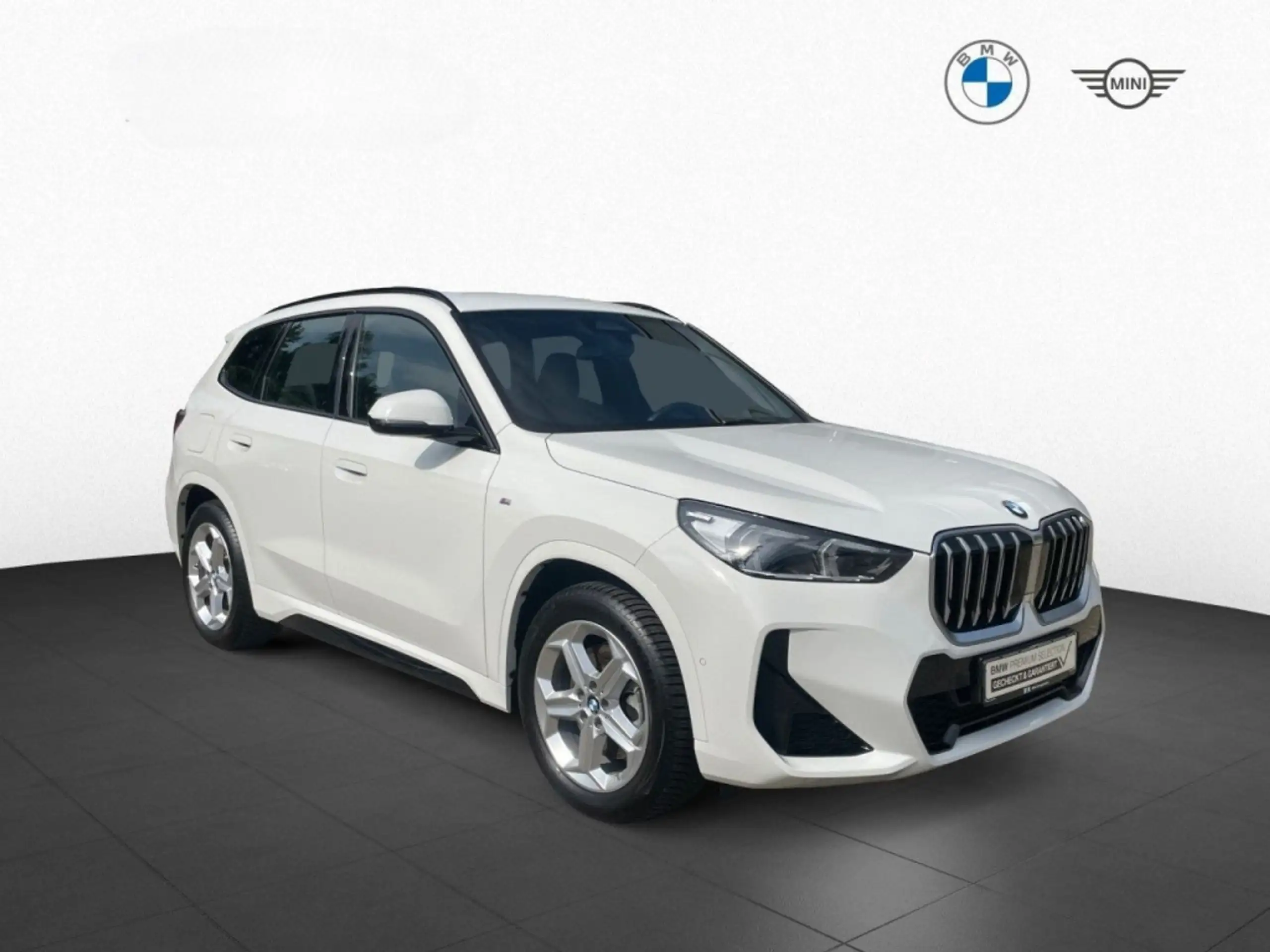 BMW - X1