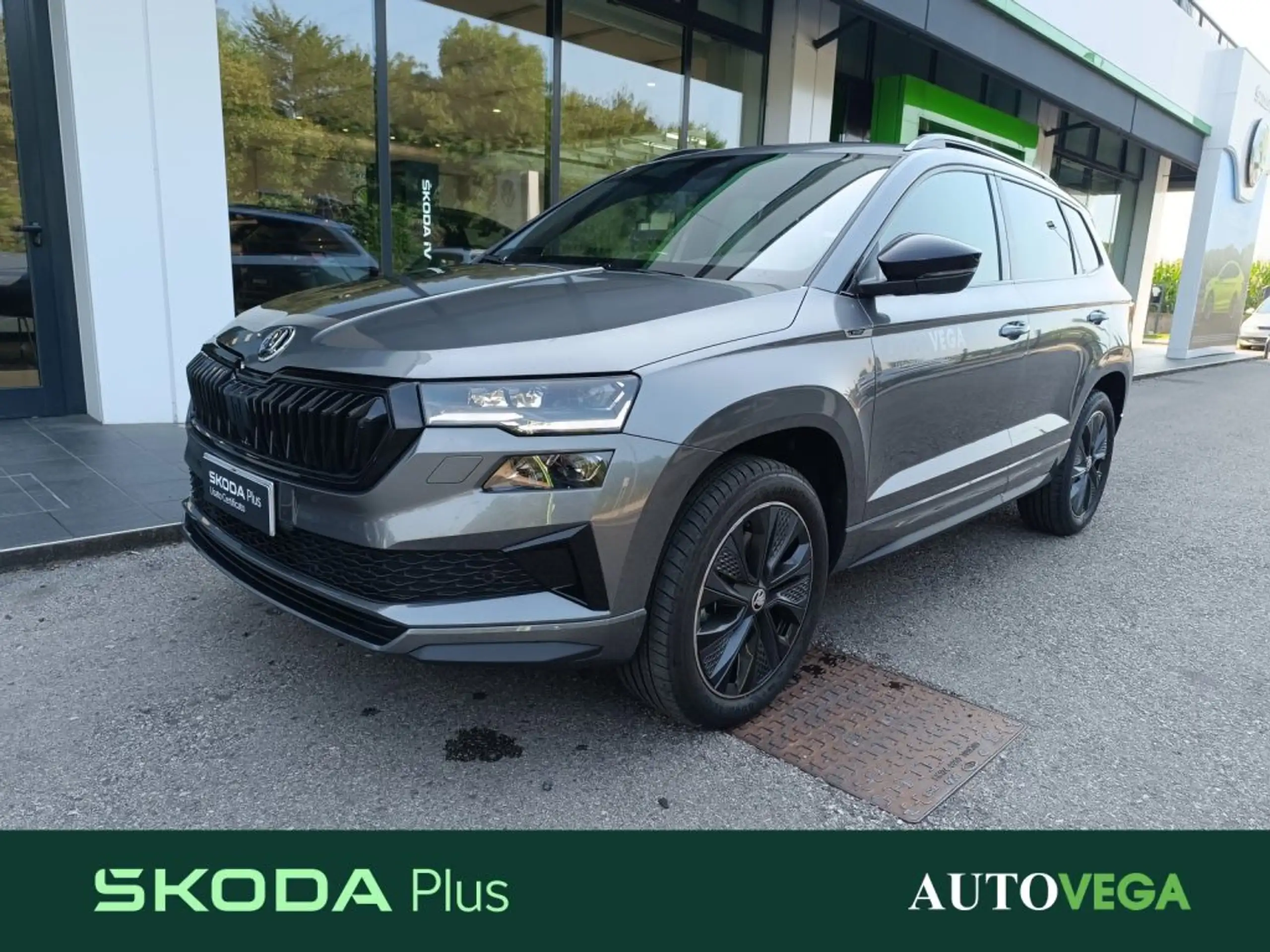 Skoda - Karoq