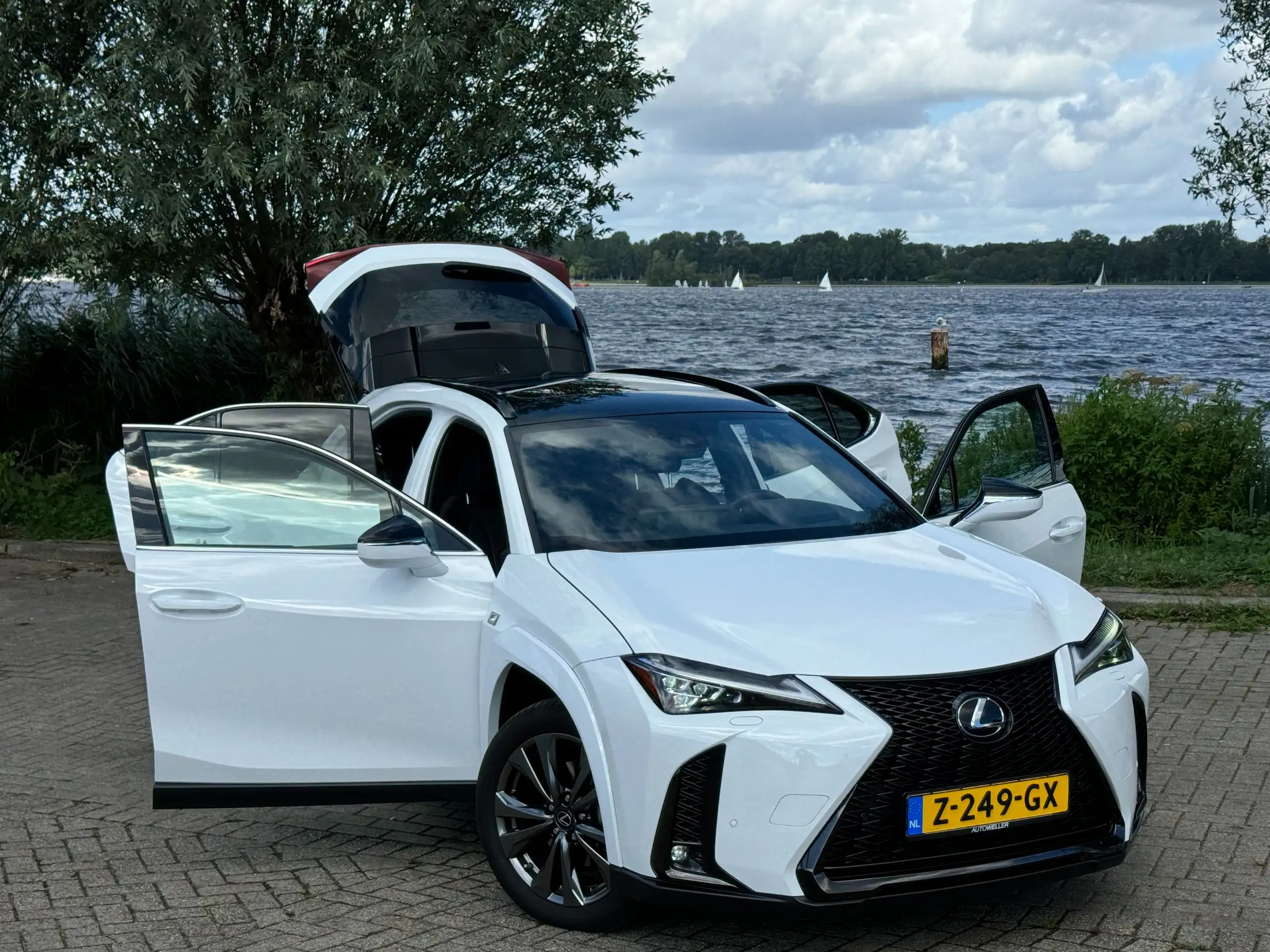 Lexus - UX 250h