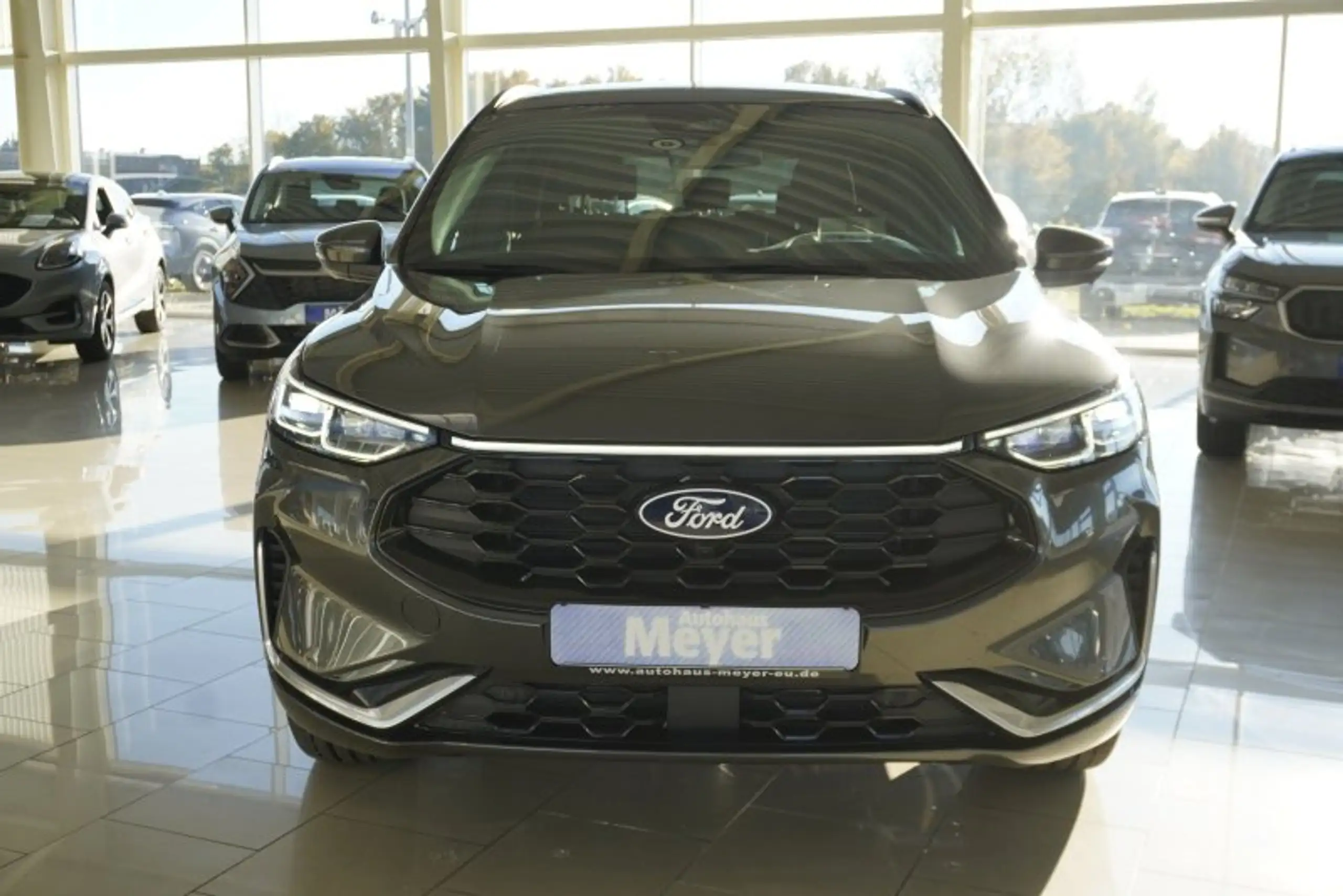 Ford - Kuga