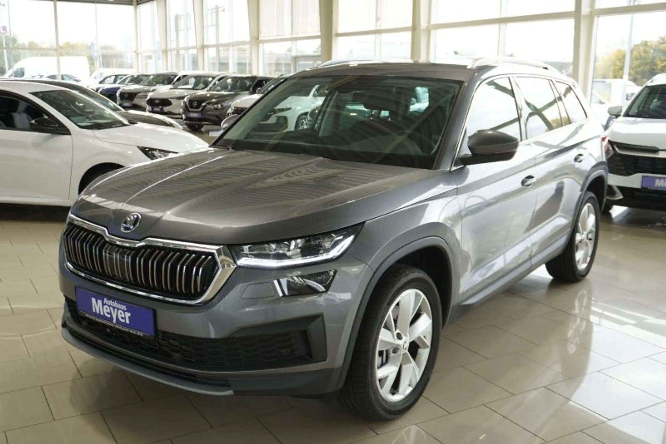 Skoda - Kodiaq