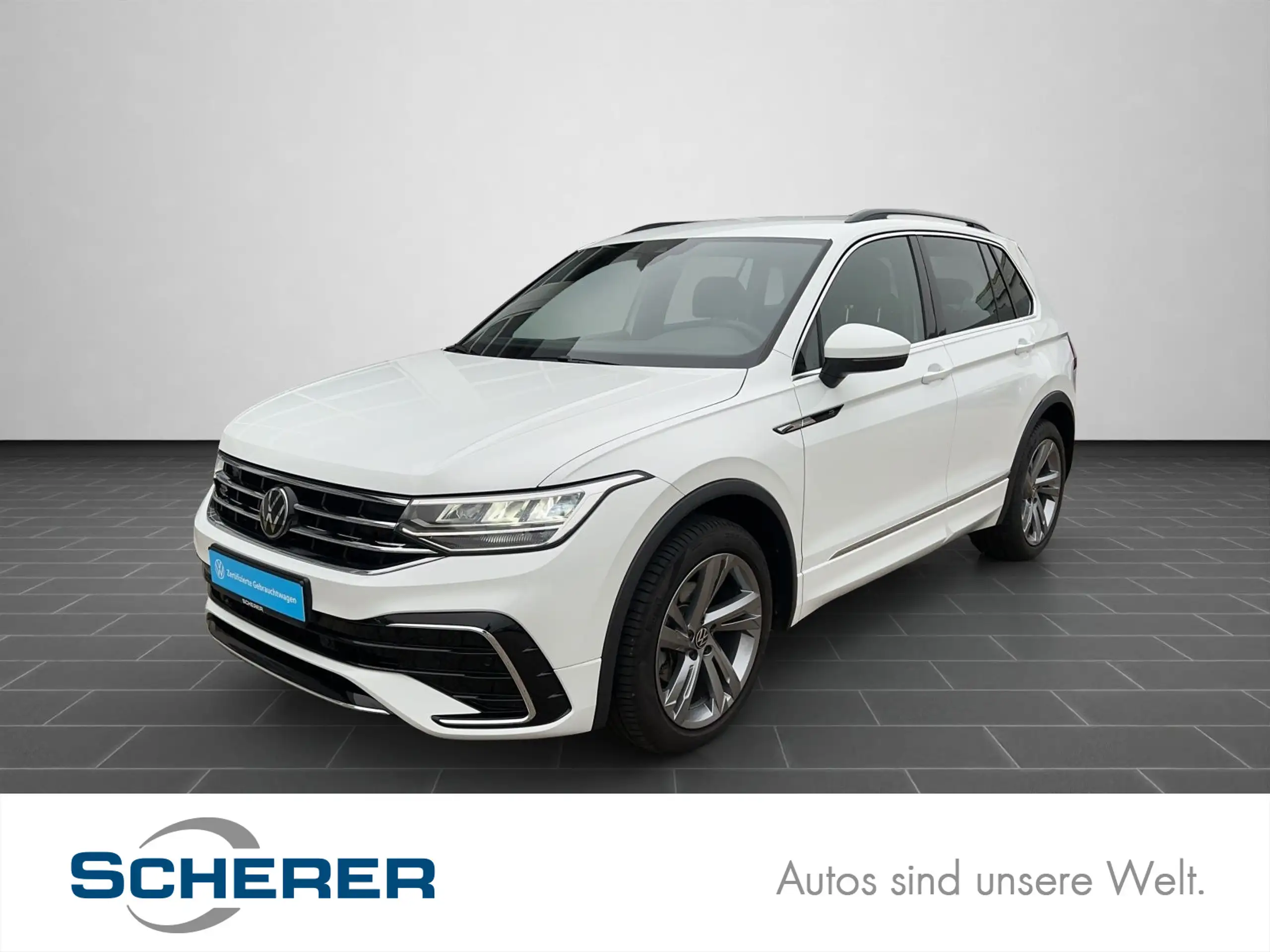 Volkswagen - Tiguan