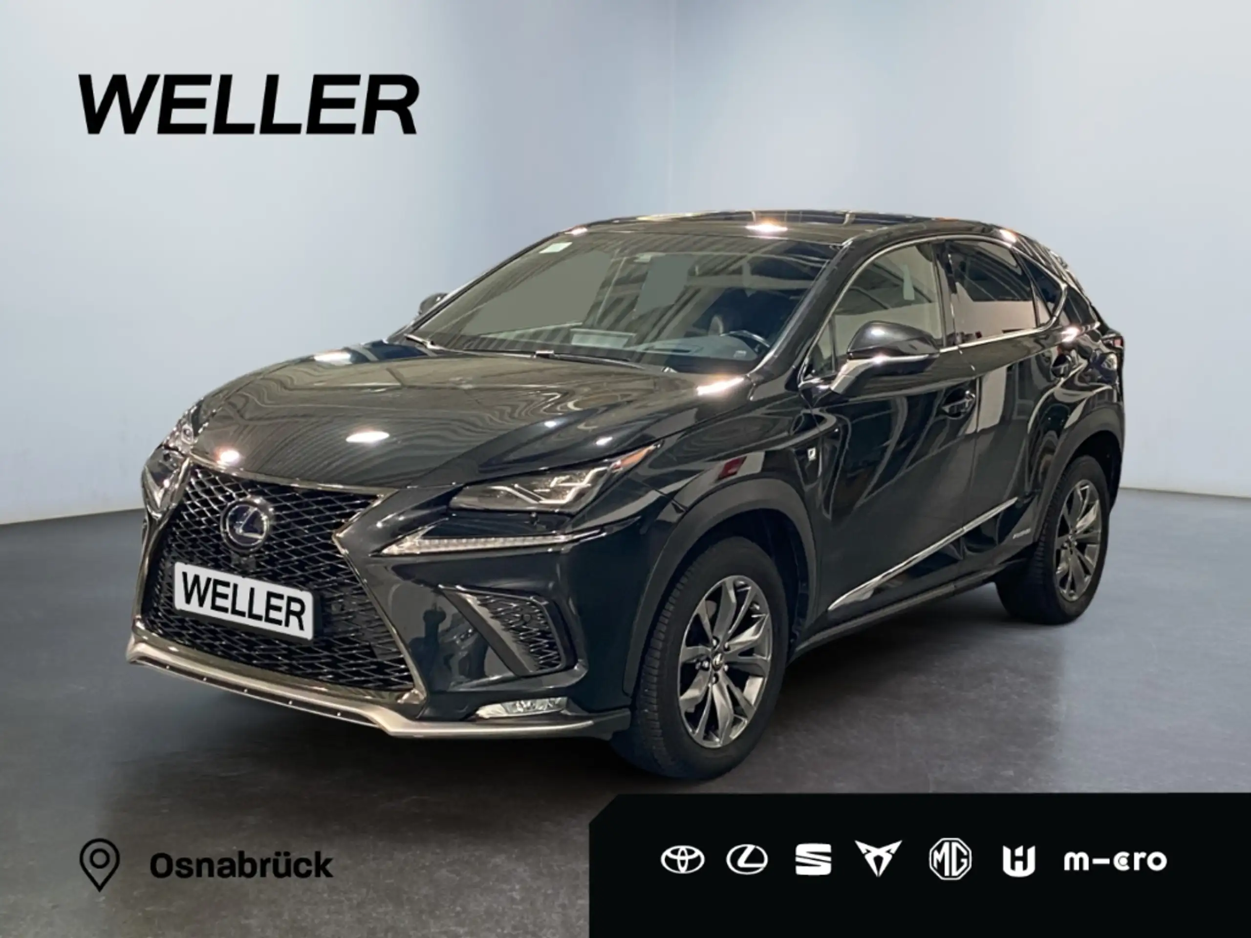 Lexus - NX 300h