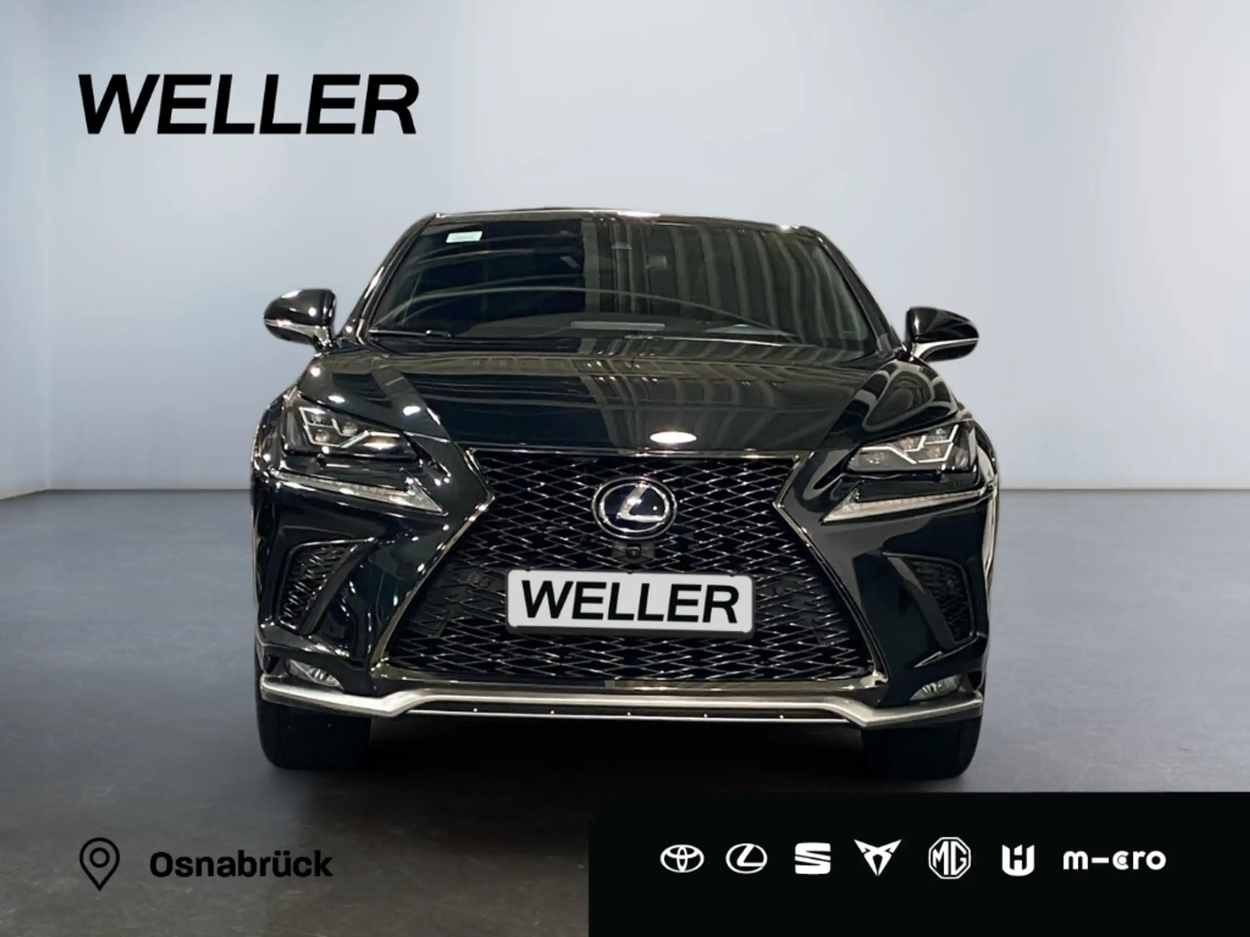 Lexus - NX 300h