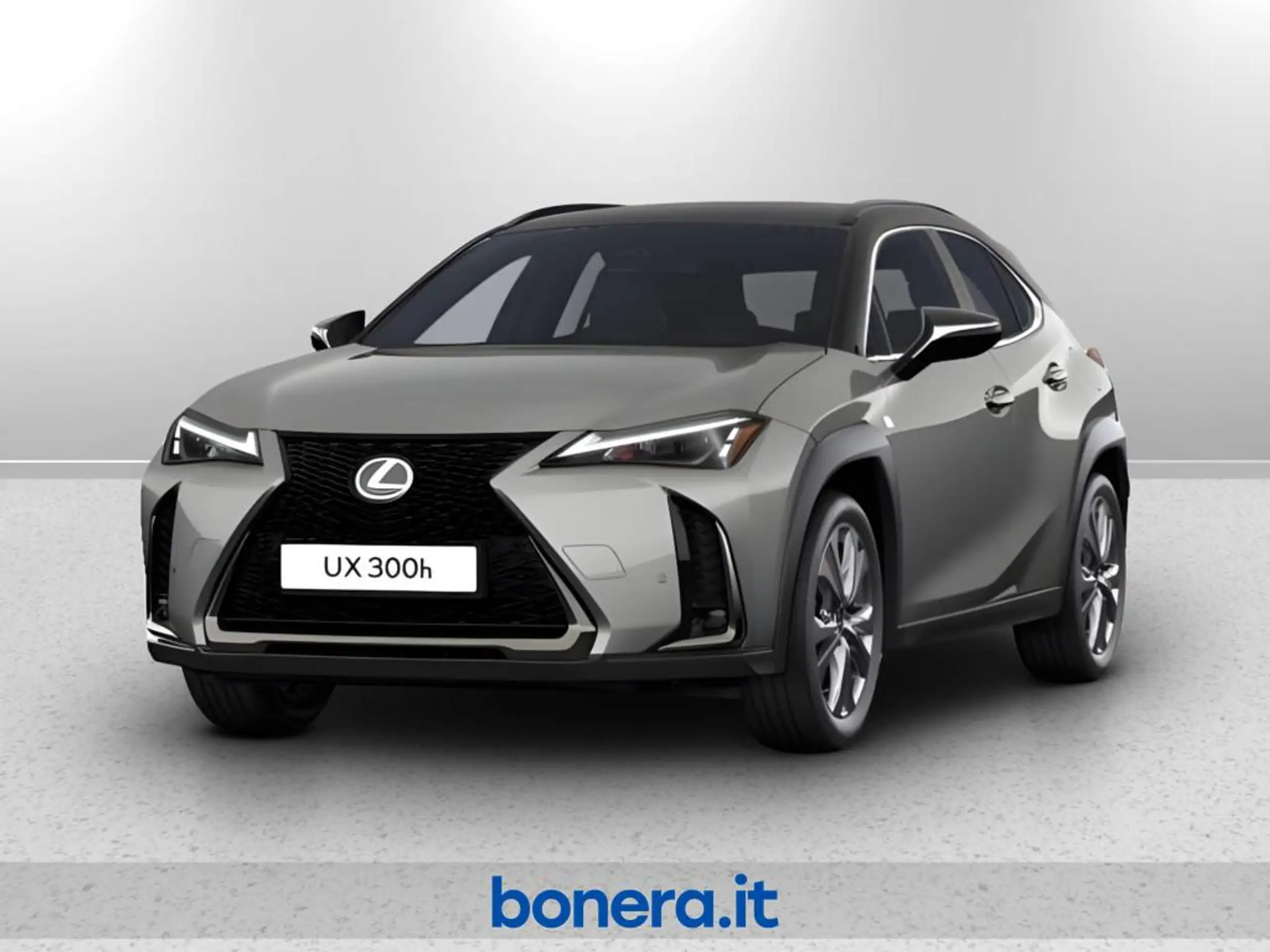 Lexus - UX 300e