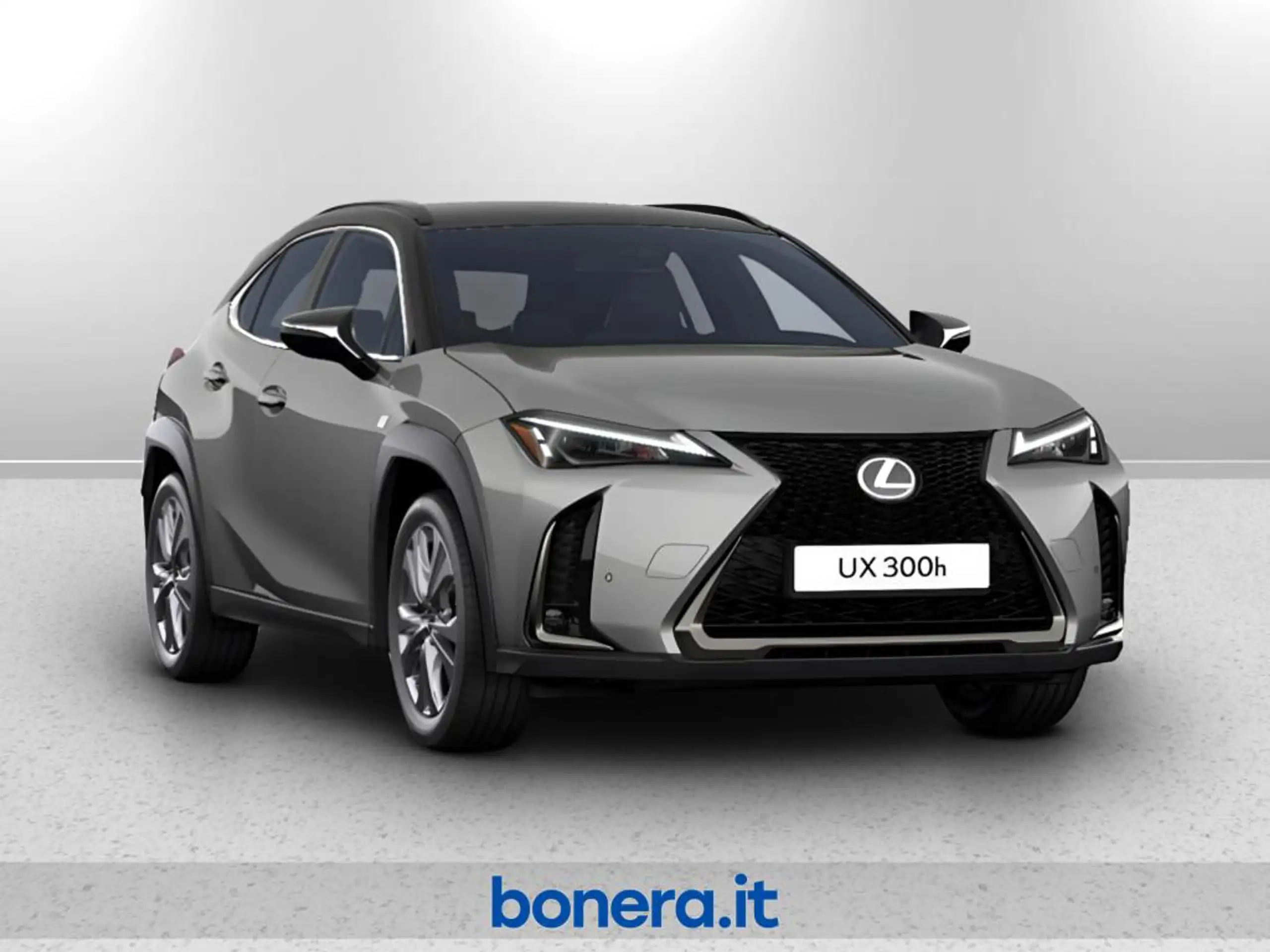 Lexus - UX 300e