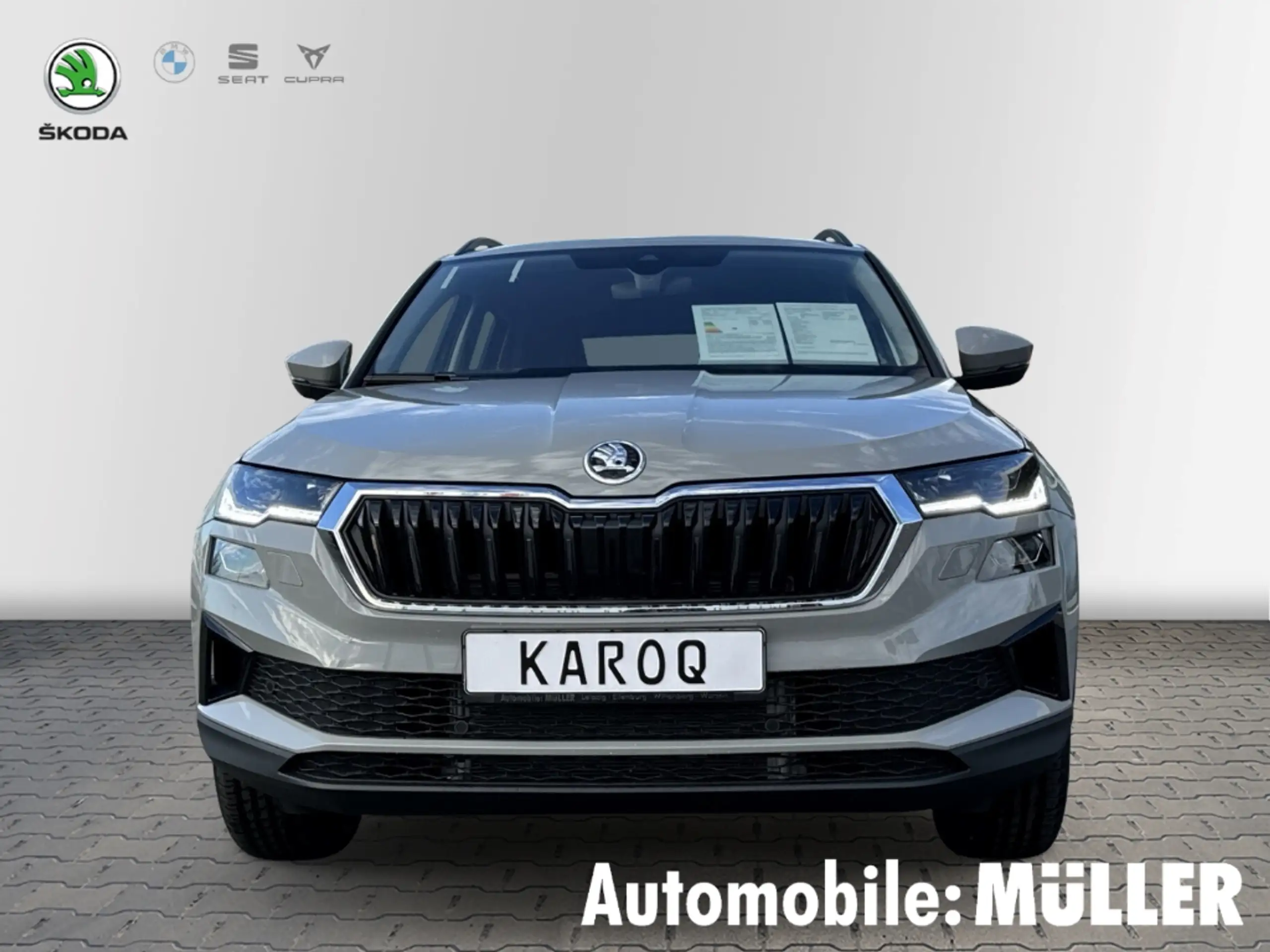 Skoda - Karoq