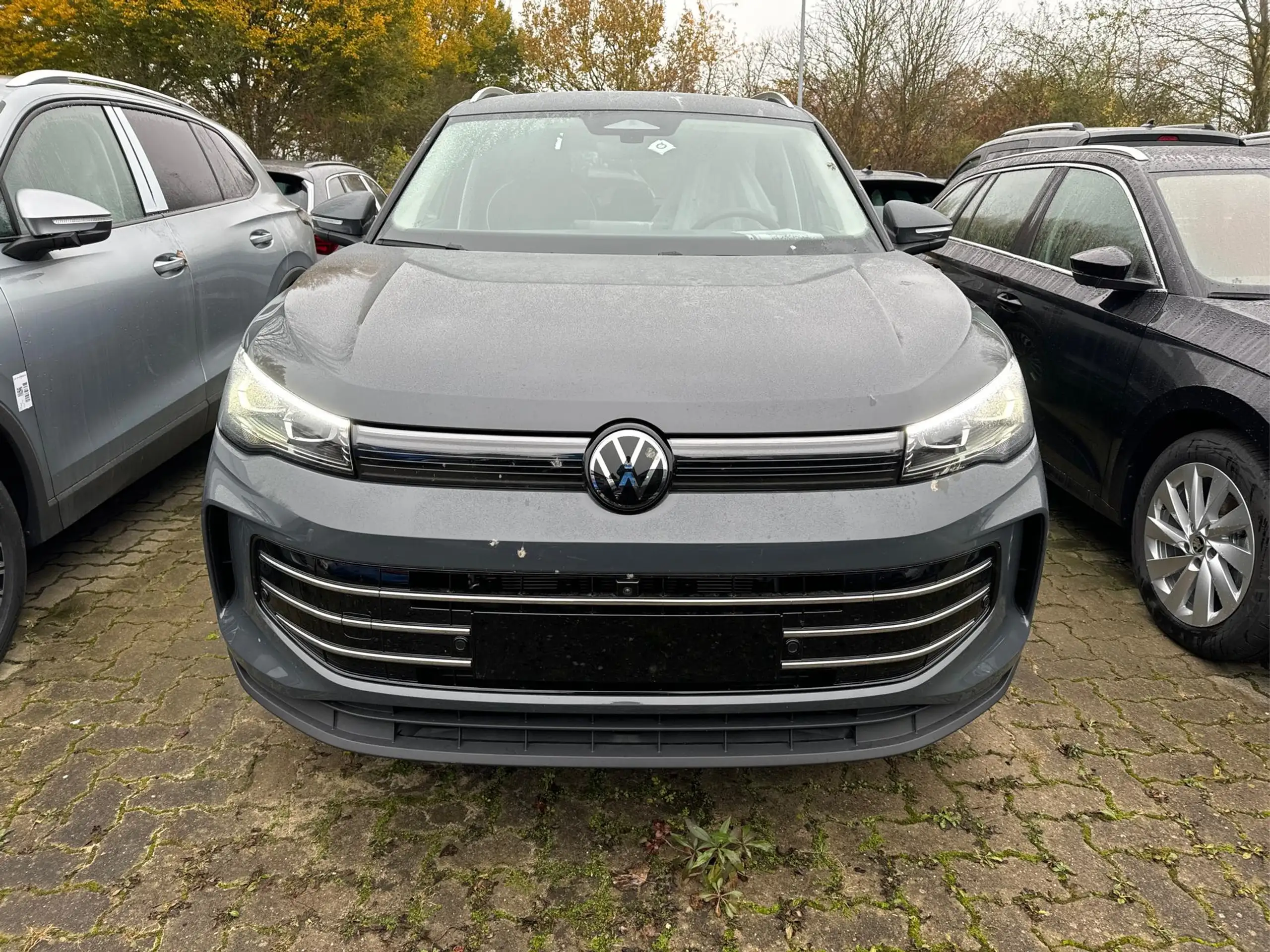 Volkswagen - Tiguan