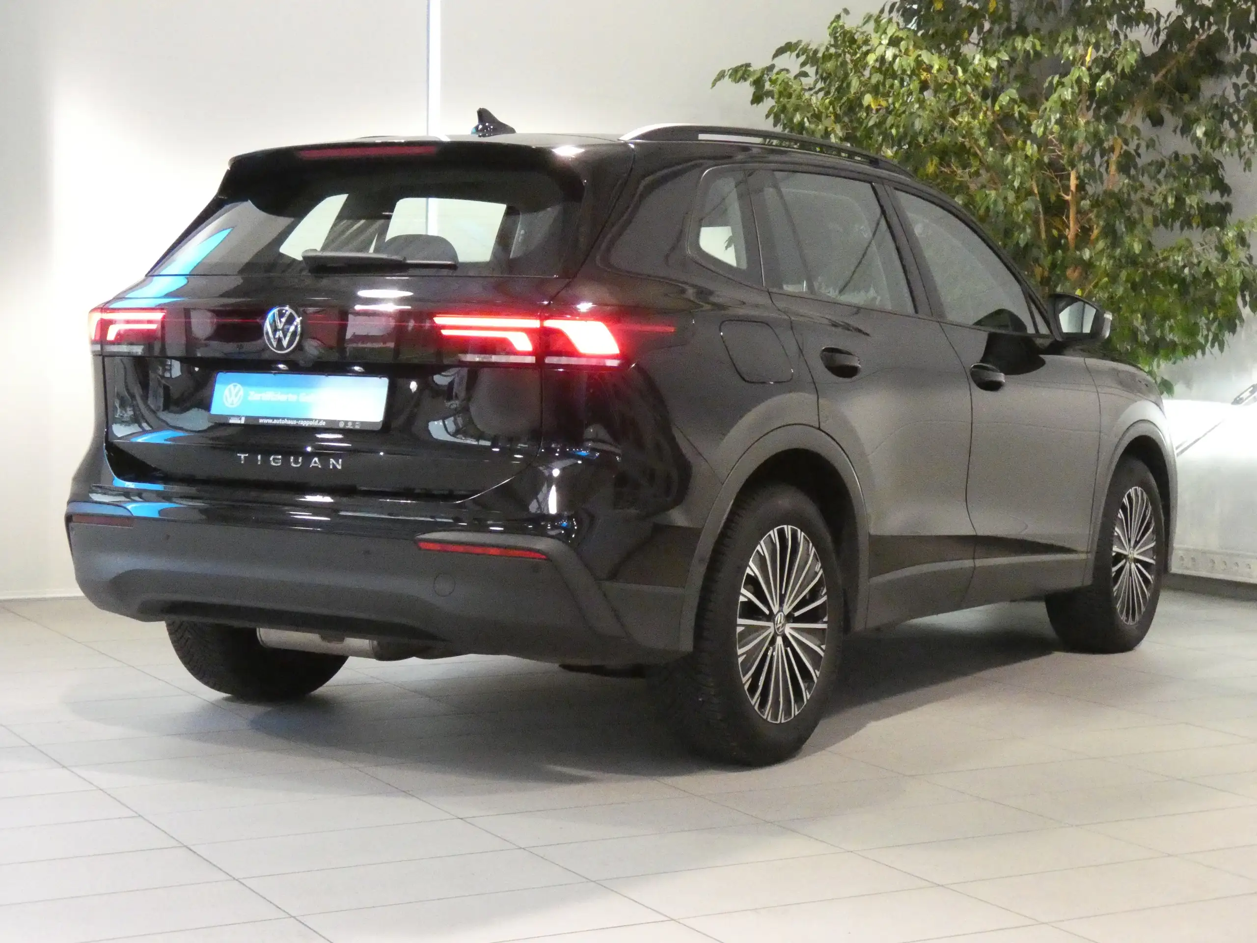 Volkswagen - Tiguan