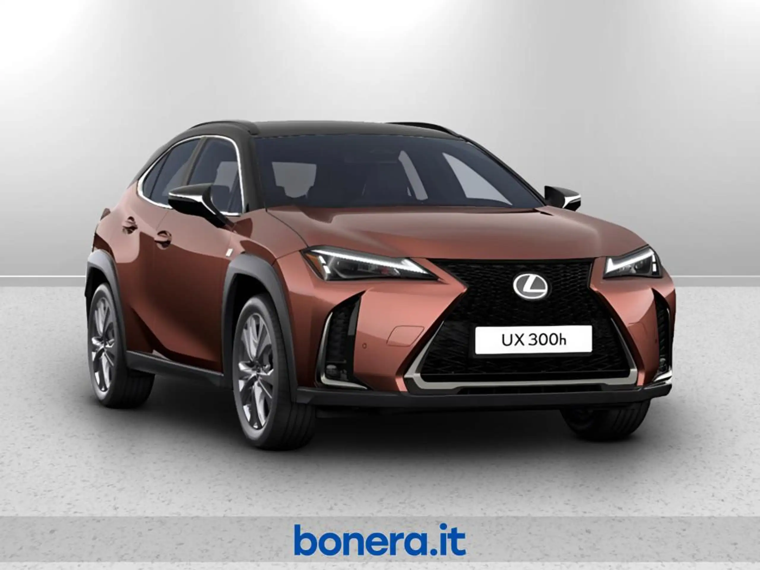 Lexus - UX 300e