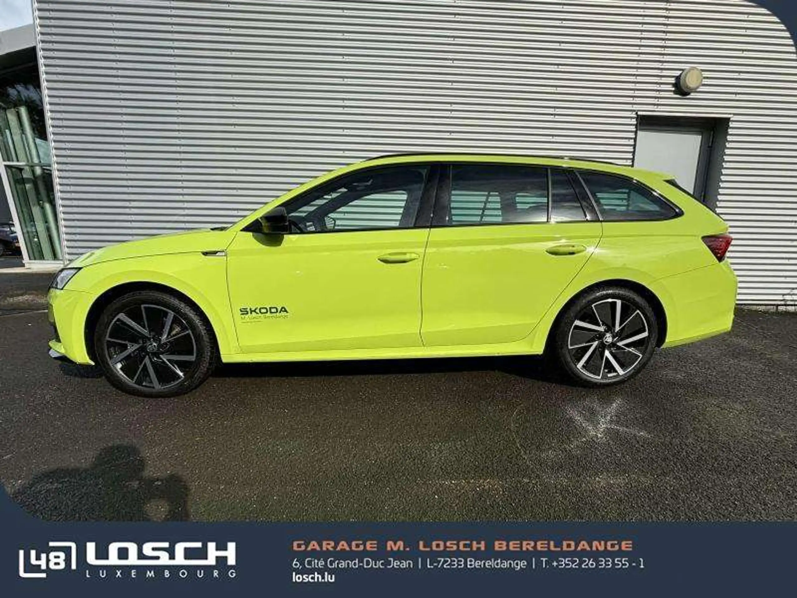 Skoda - Octavia