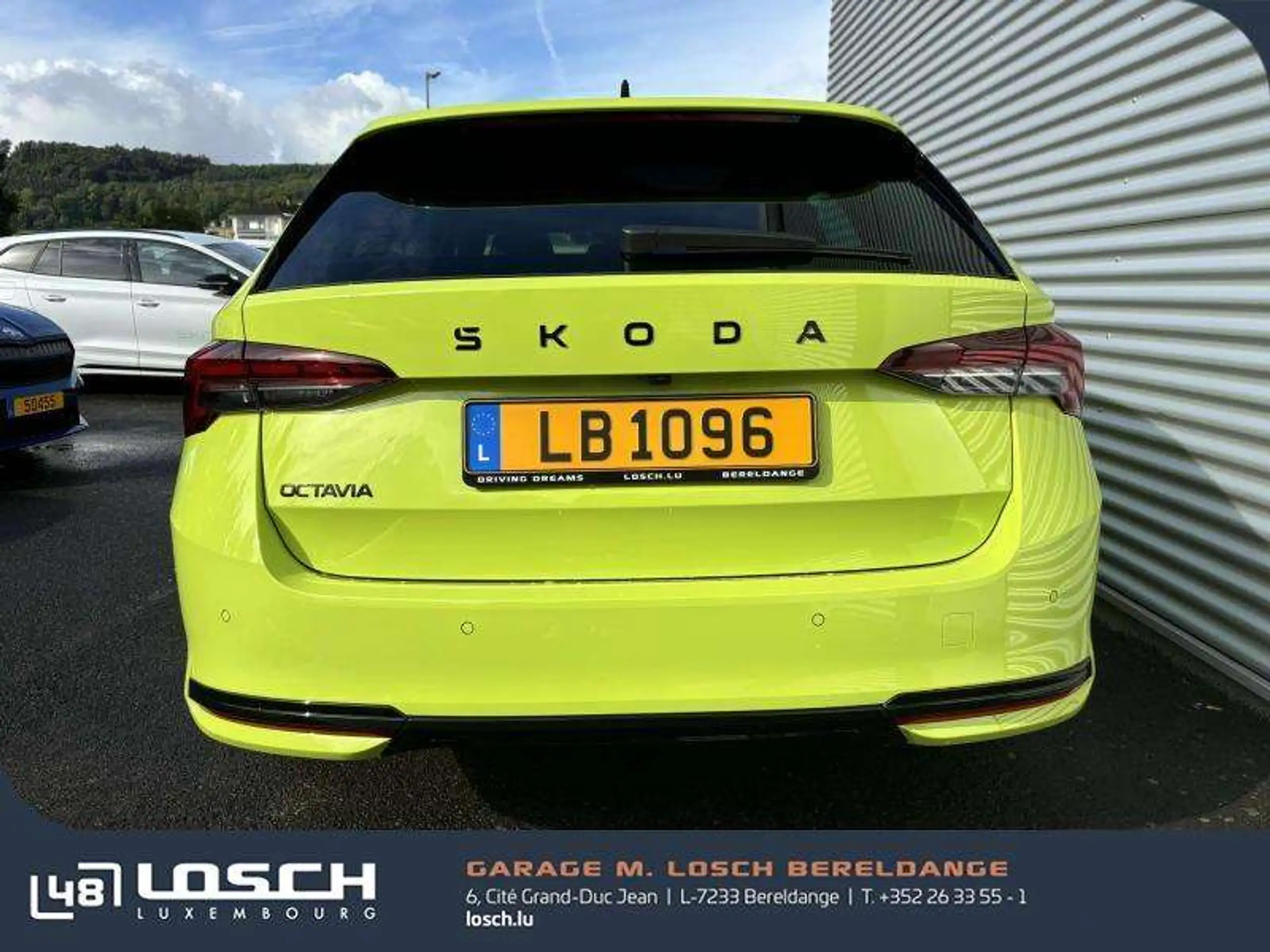 Skoda - Octavia