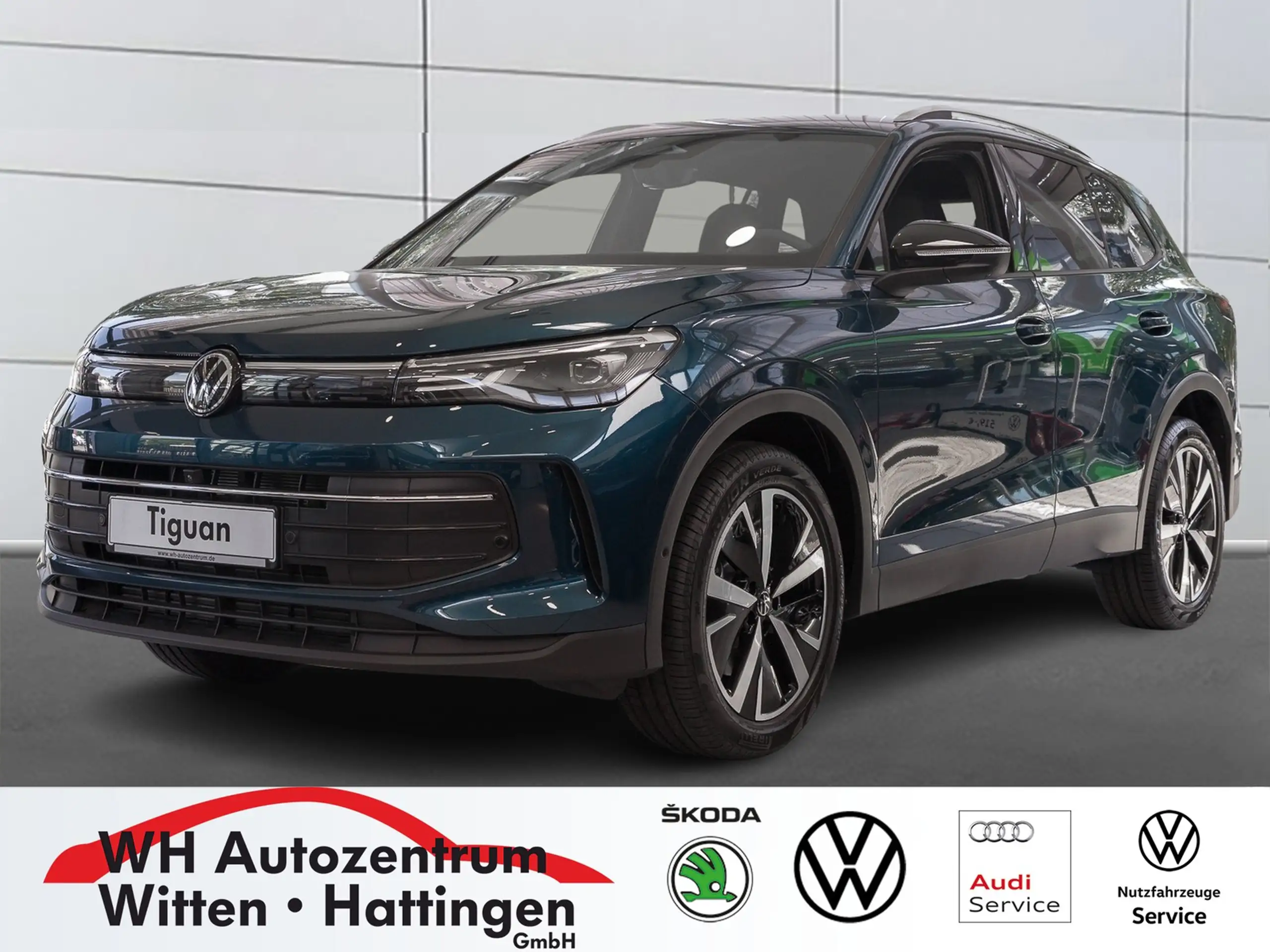 Volkswagen - Tiguan