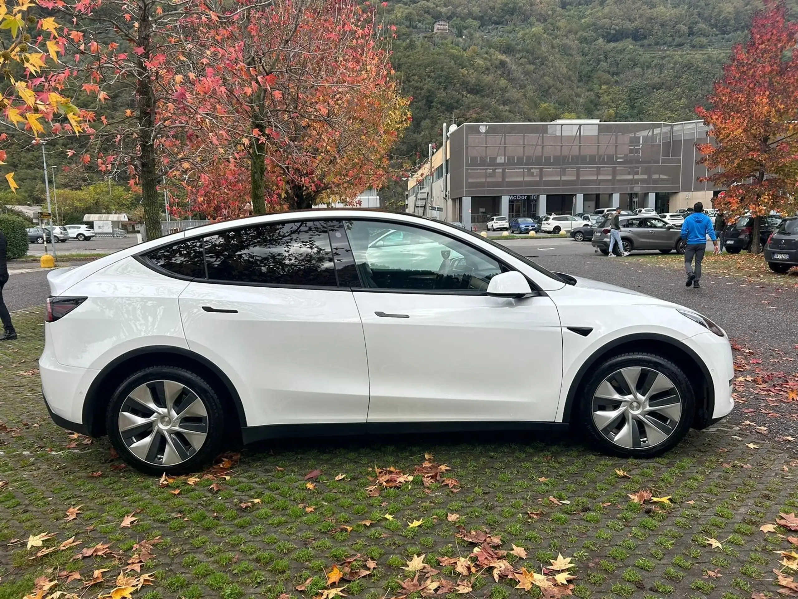 Tesla - Model Y