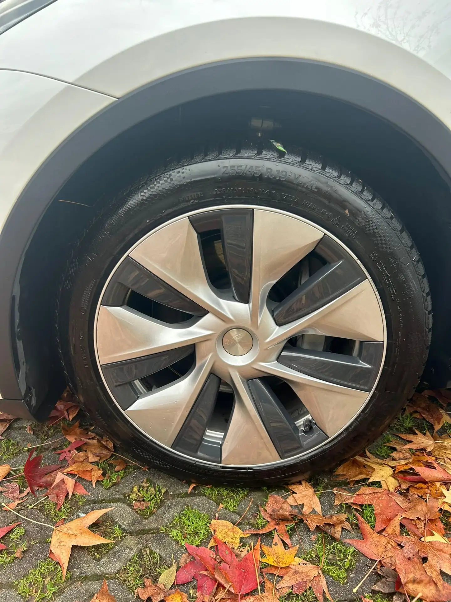 Tesla - Model Y