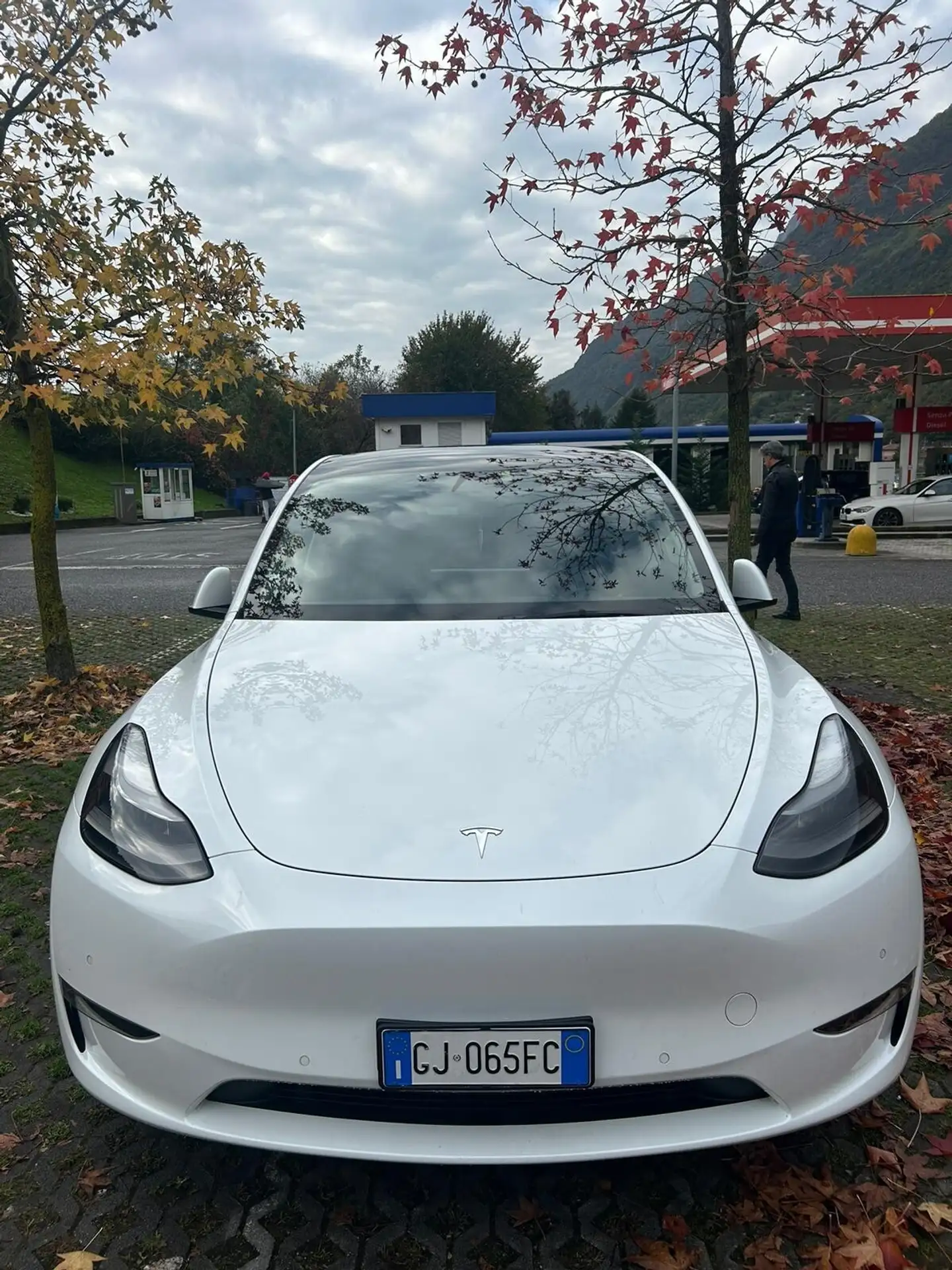 Tesla - Model Y