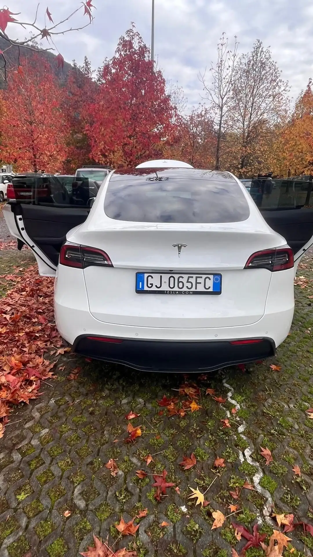 Tesla - Model Y