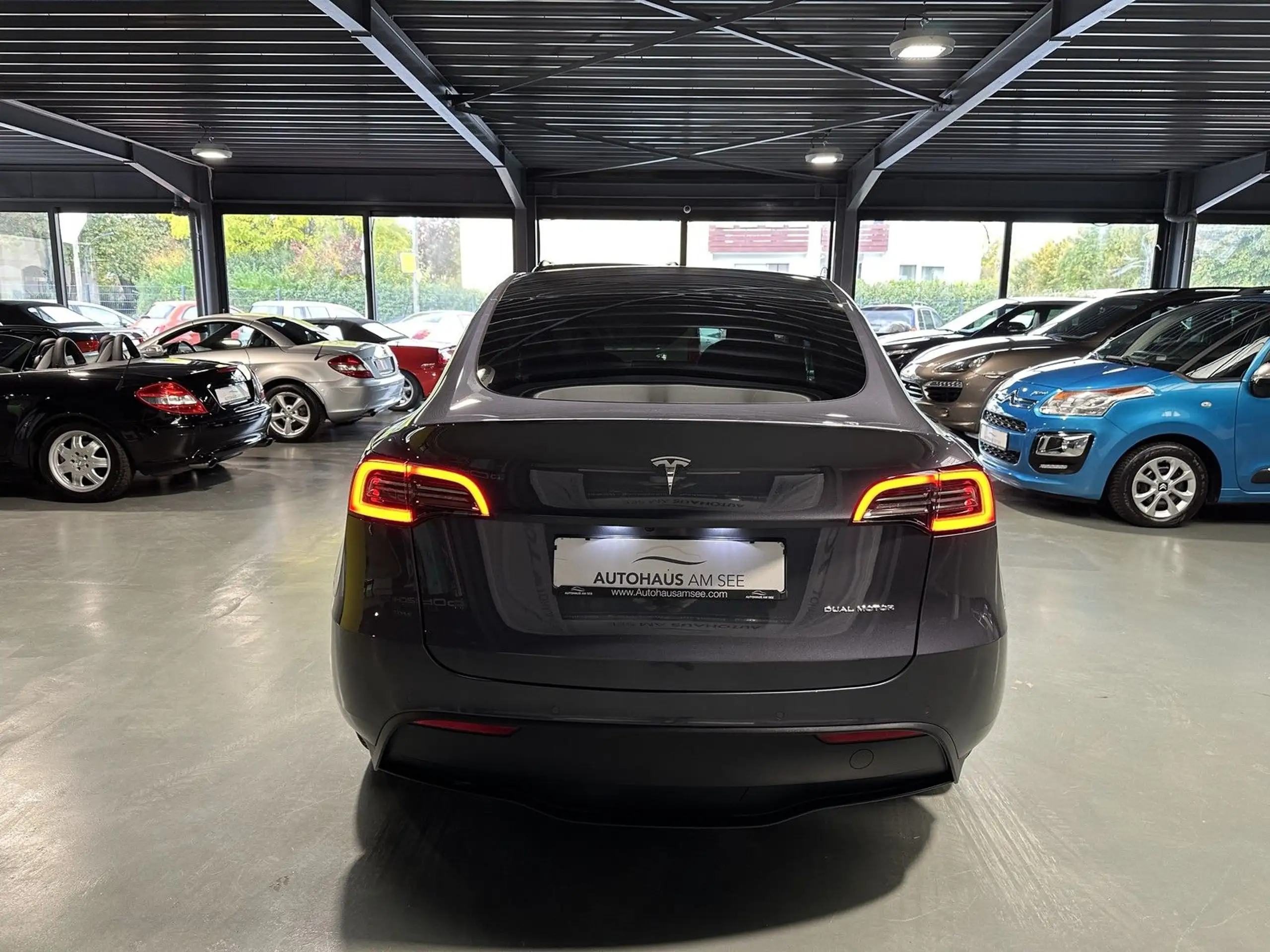 Tesla - Model Y