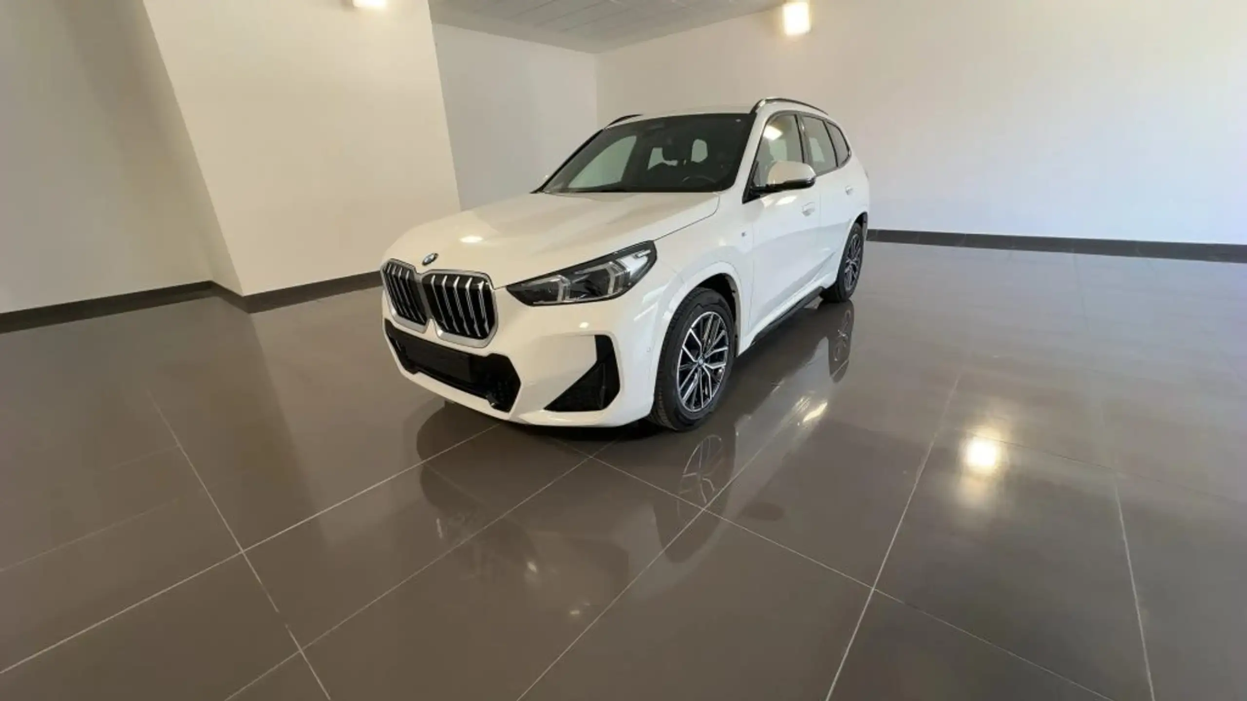 BMW - X1