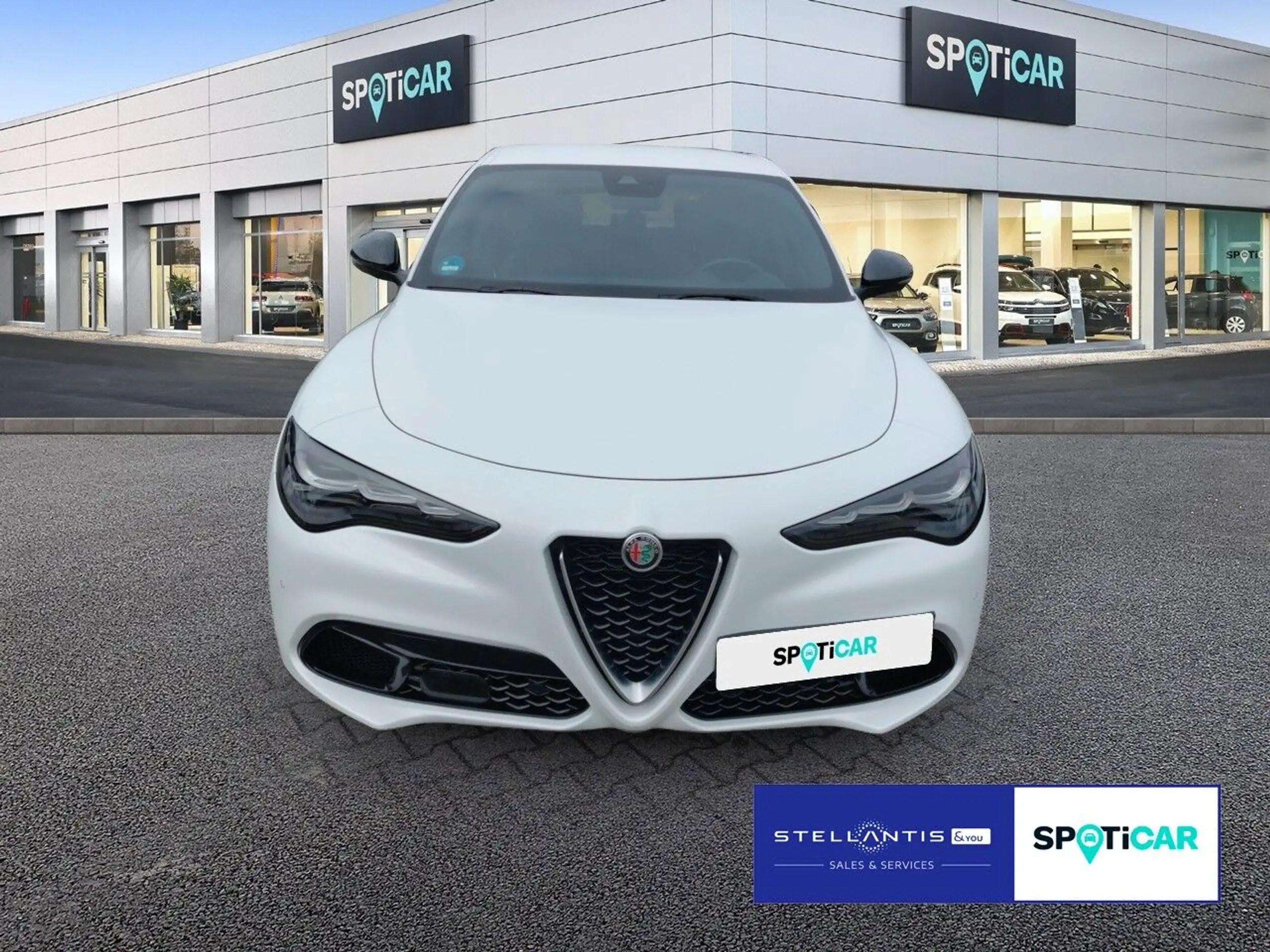 Alfa Romeo - Stelvio