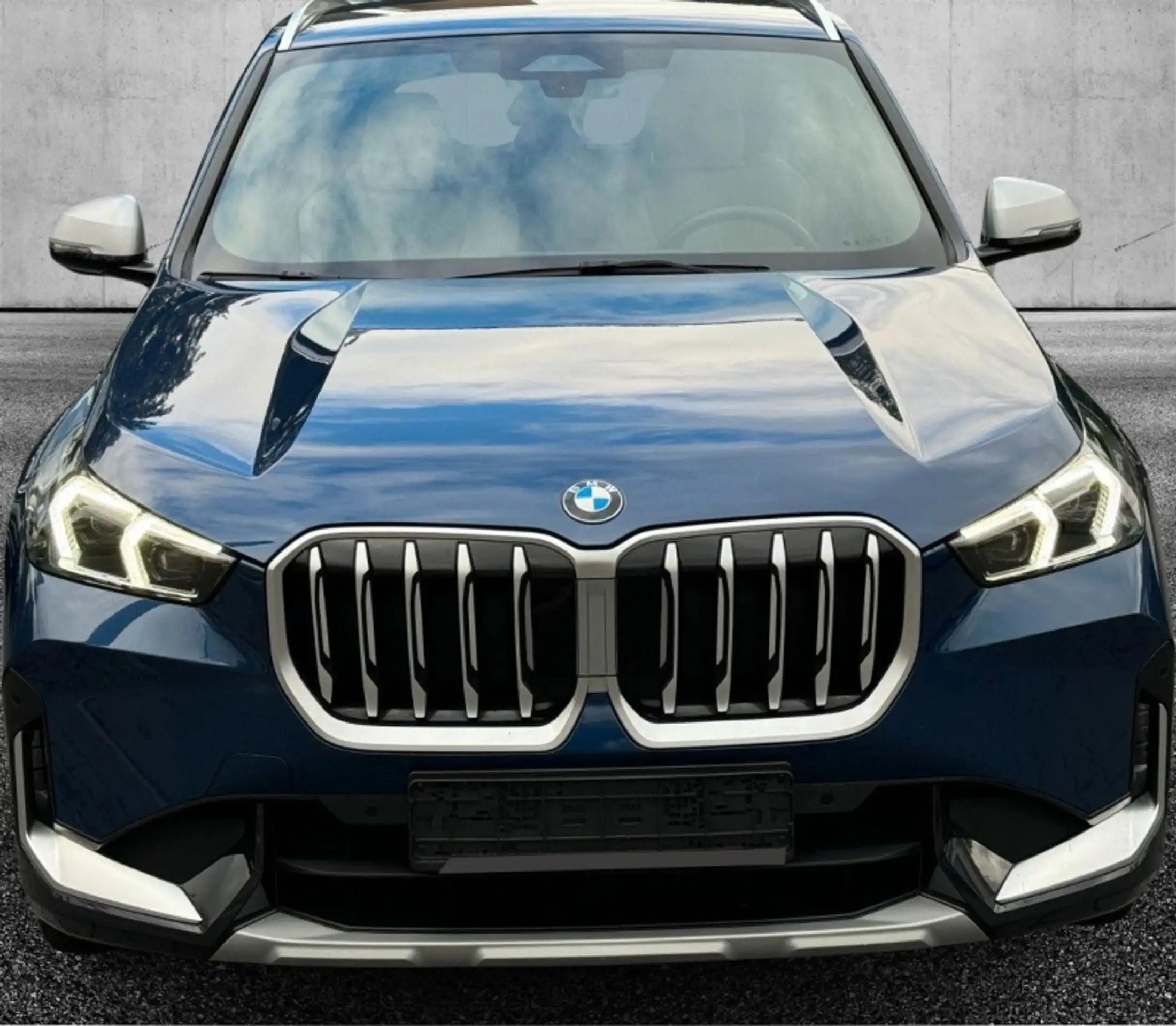 BMW - X1