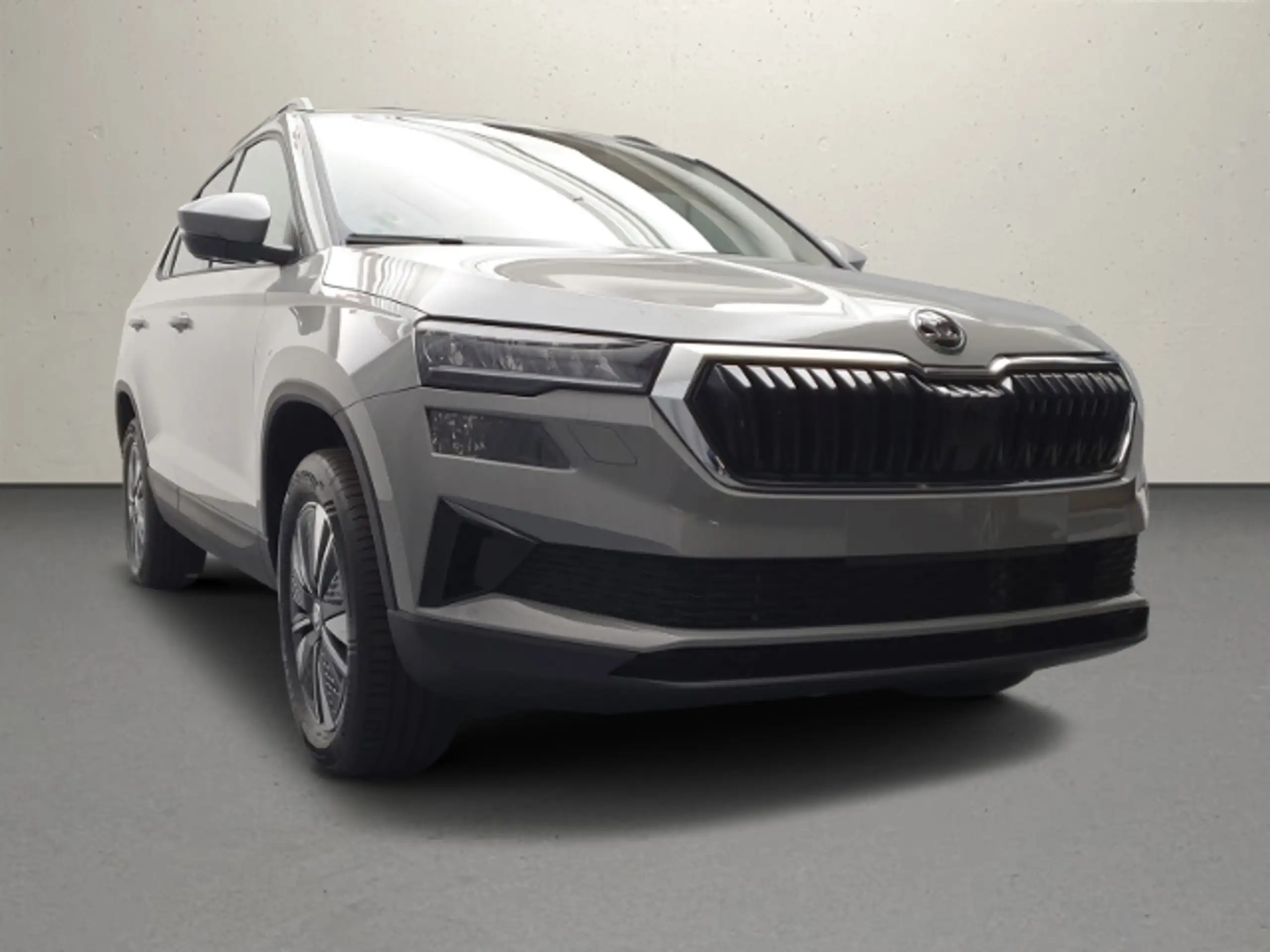 Skoda - Karoq