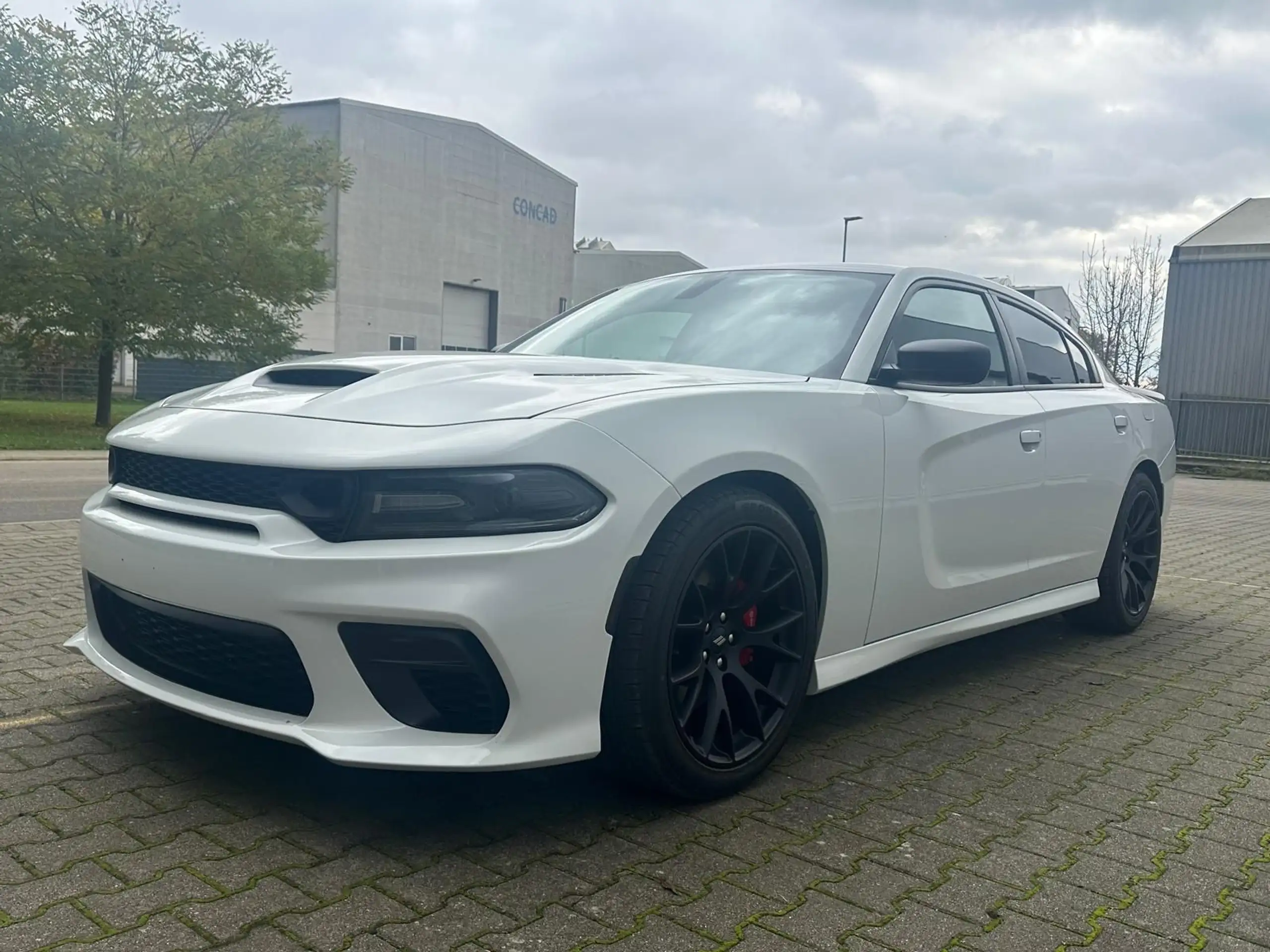 Dodge - Charger