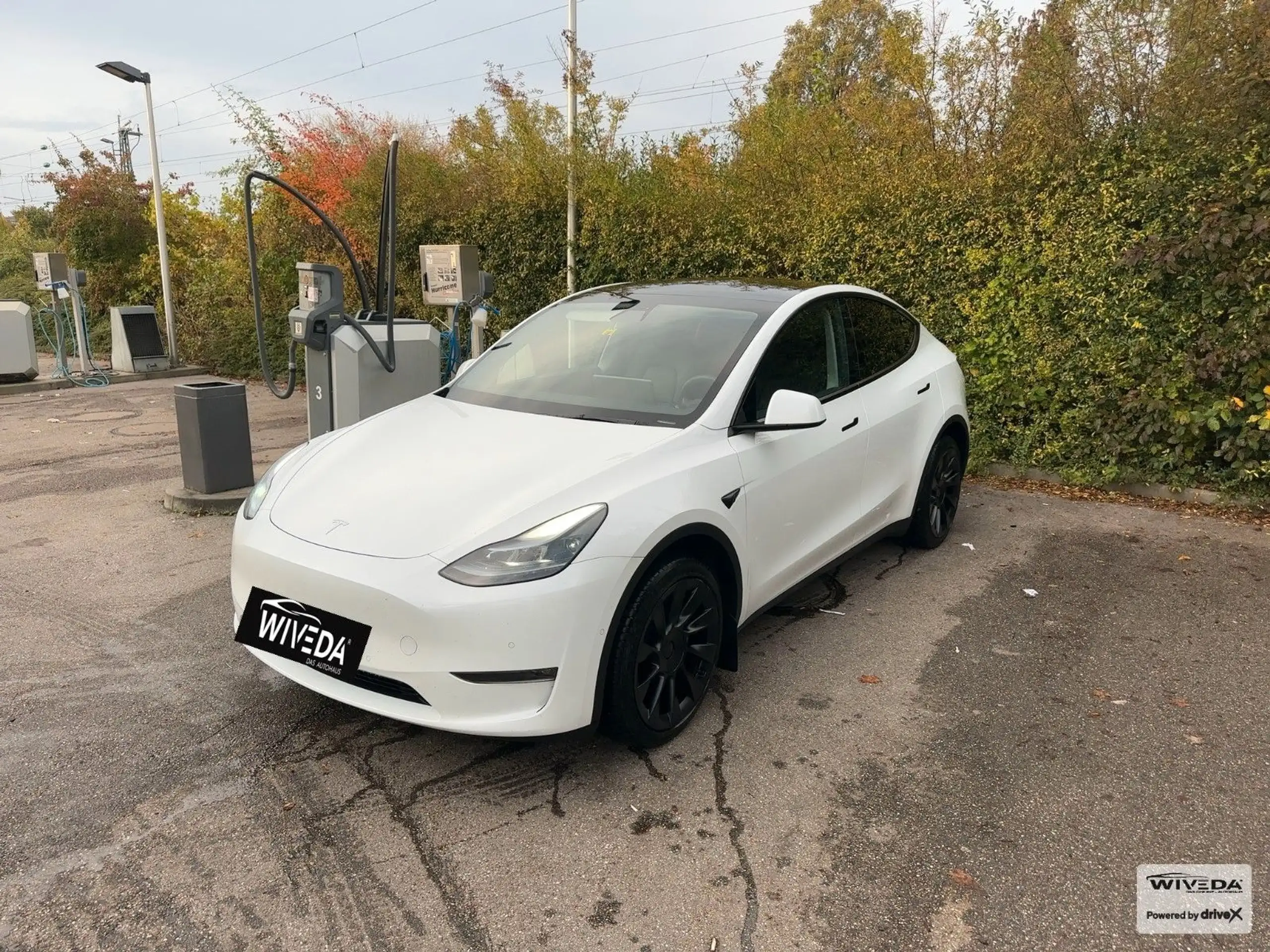 Tesla - Model Y