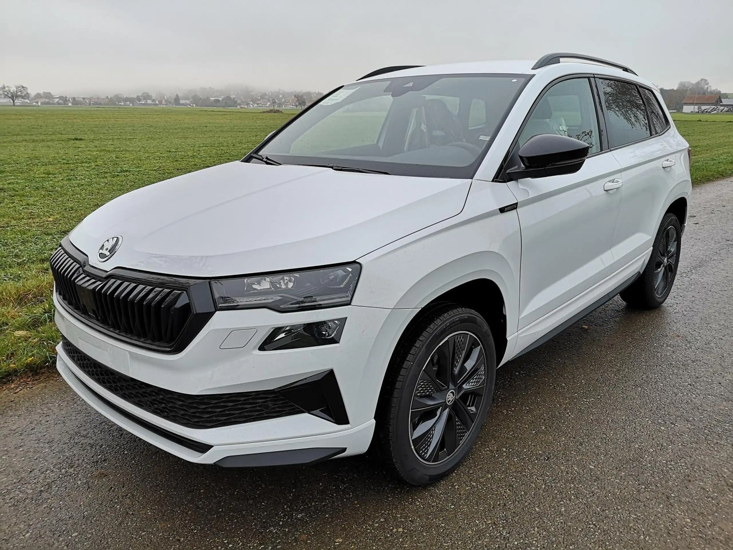 Skoda - Karoq