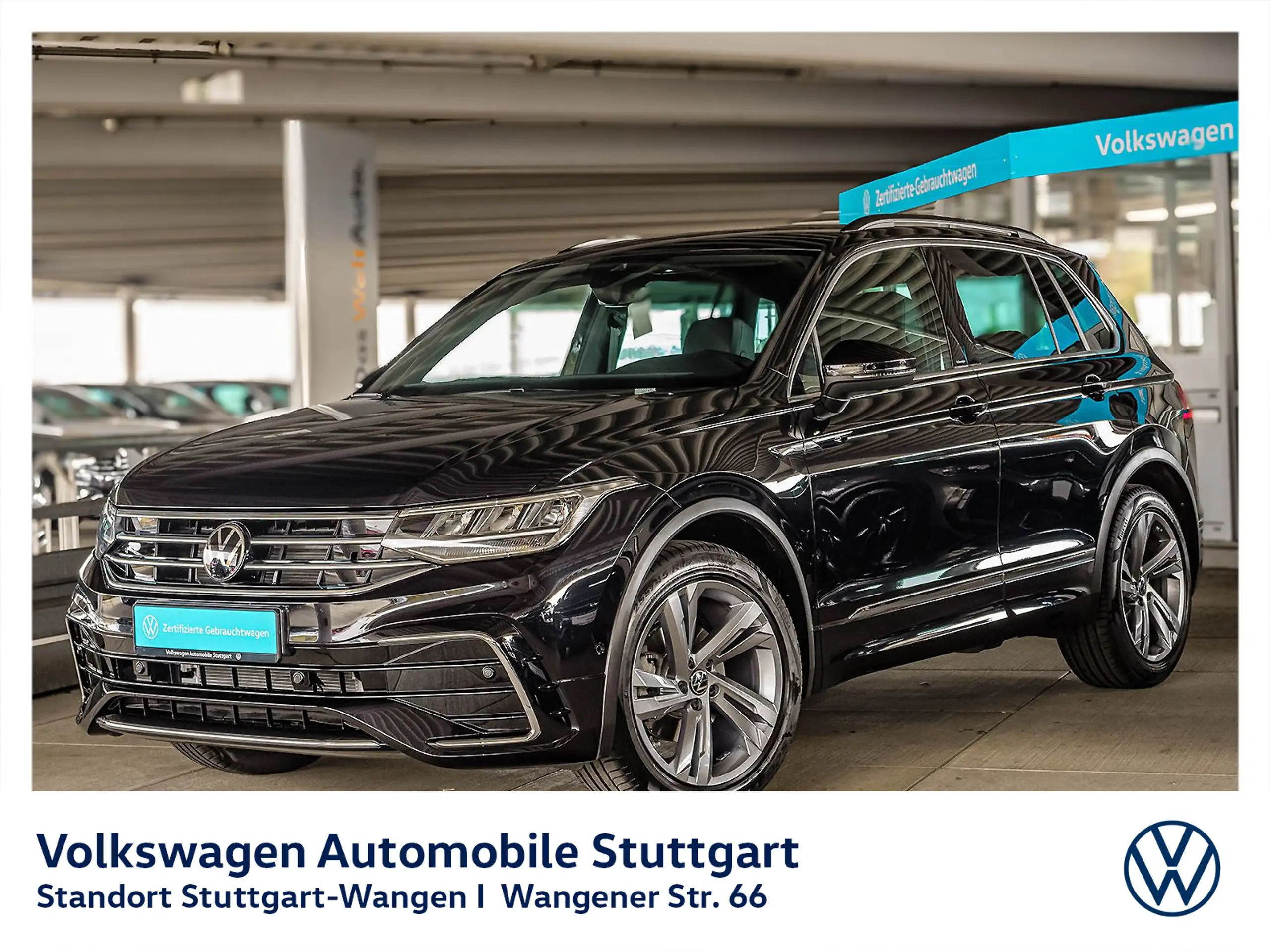 Volkswagen - Tiguan