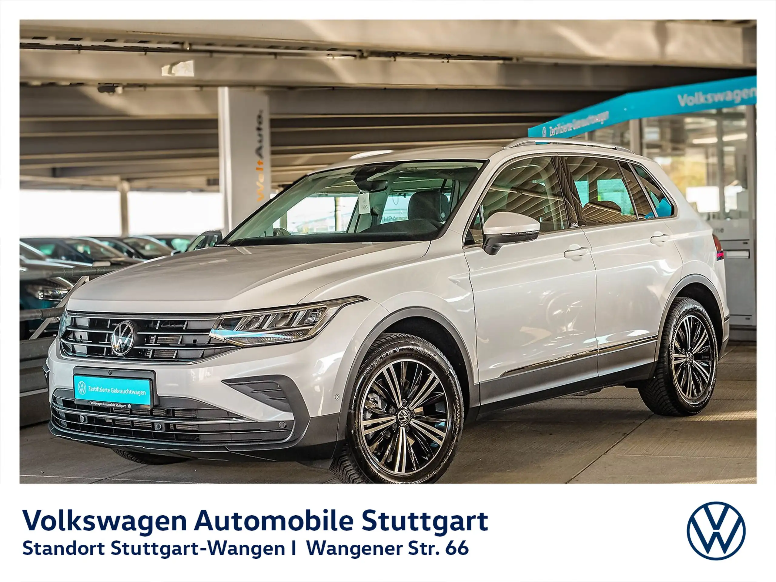 Volkswagen - Tiguan