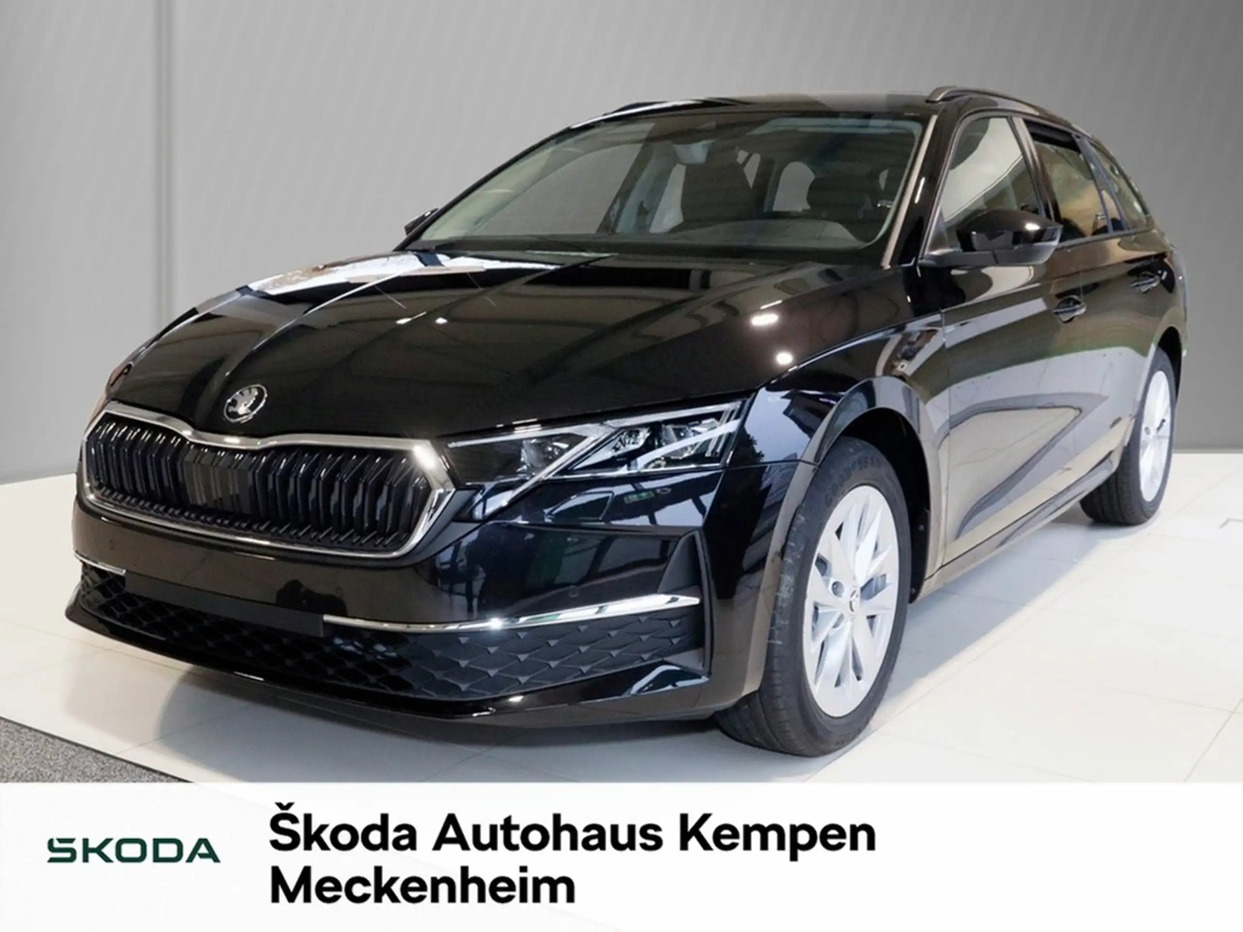 Skoda - Octavia