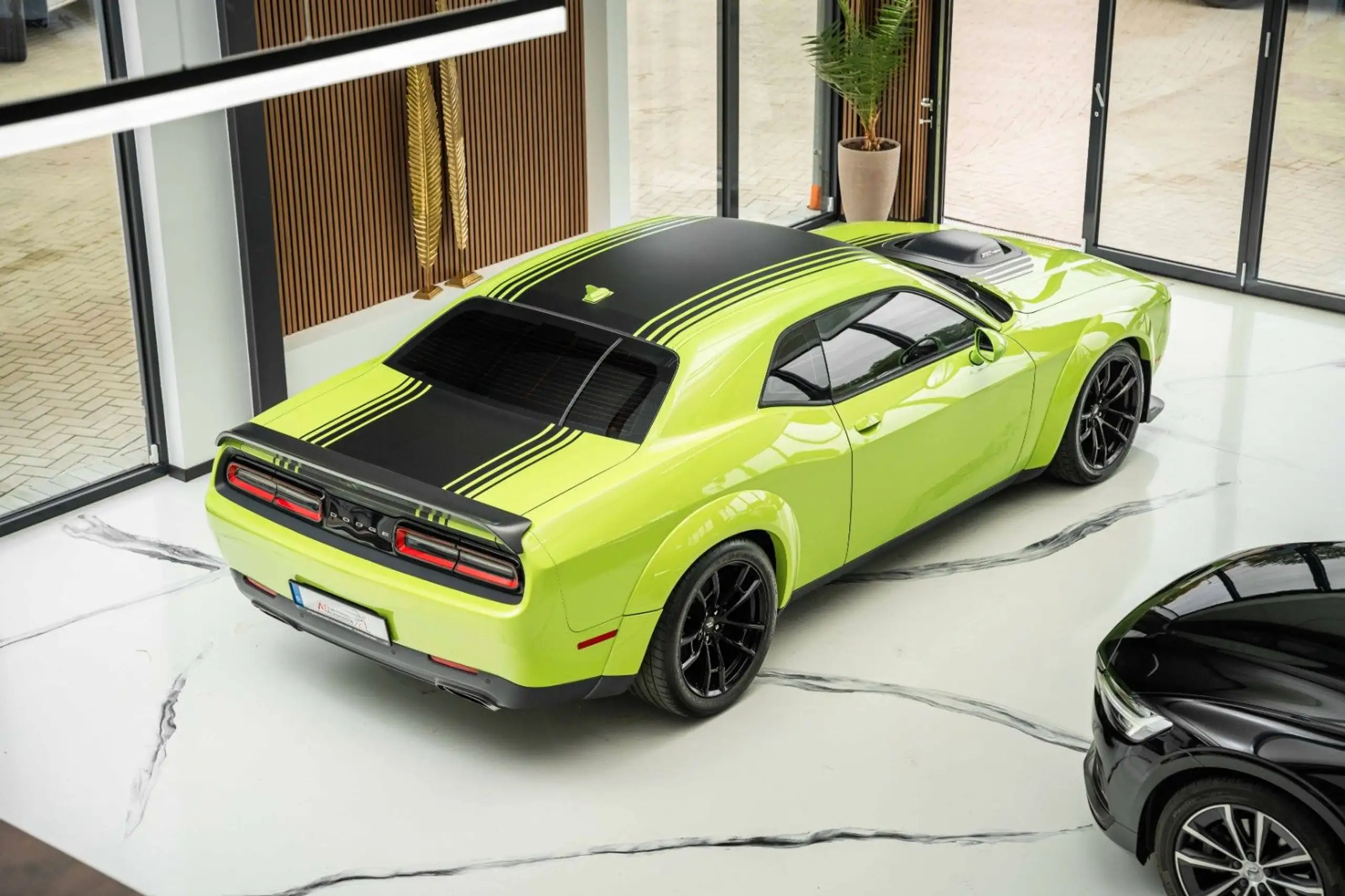 Dodge - Challenger