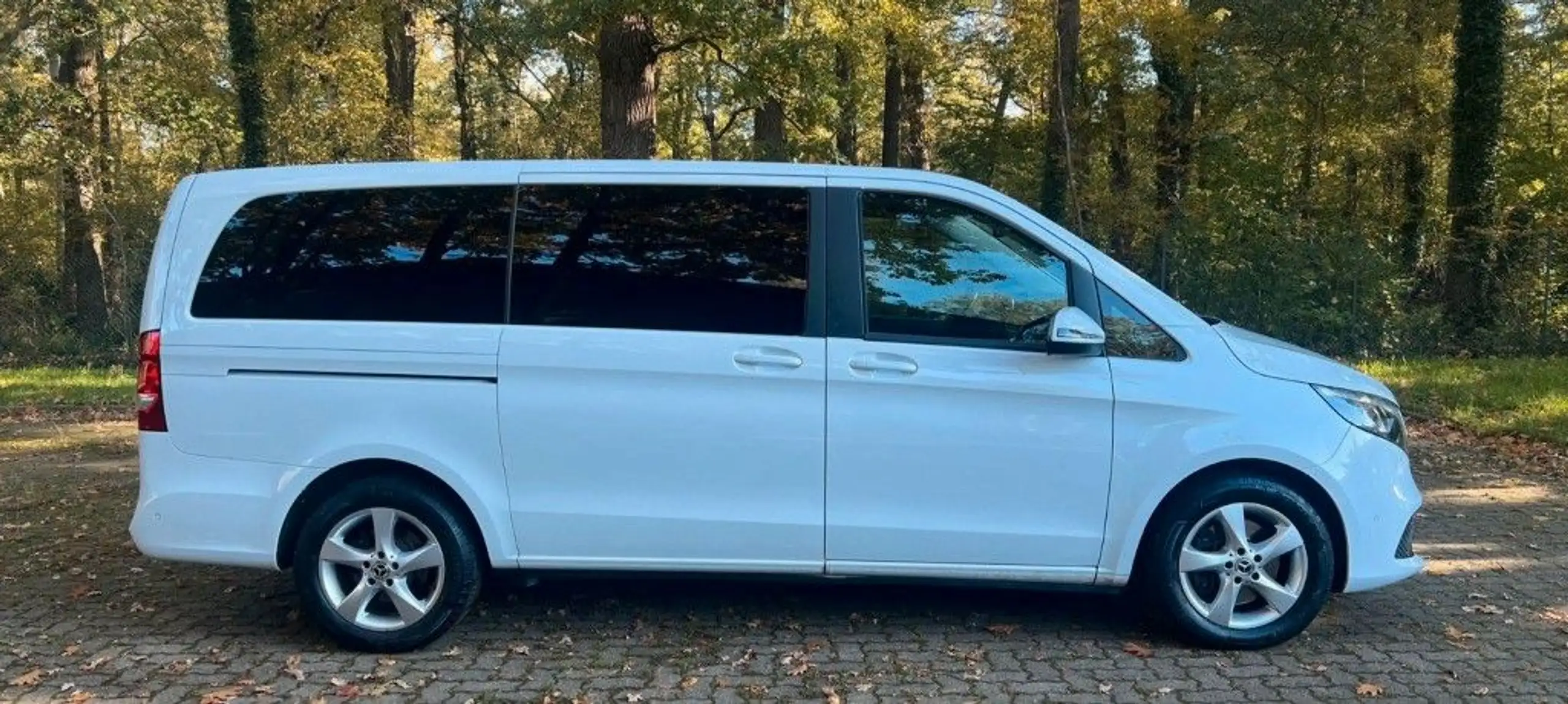 Mercedes-Benz - V 250