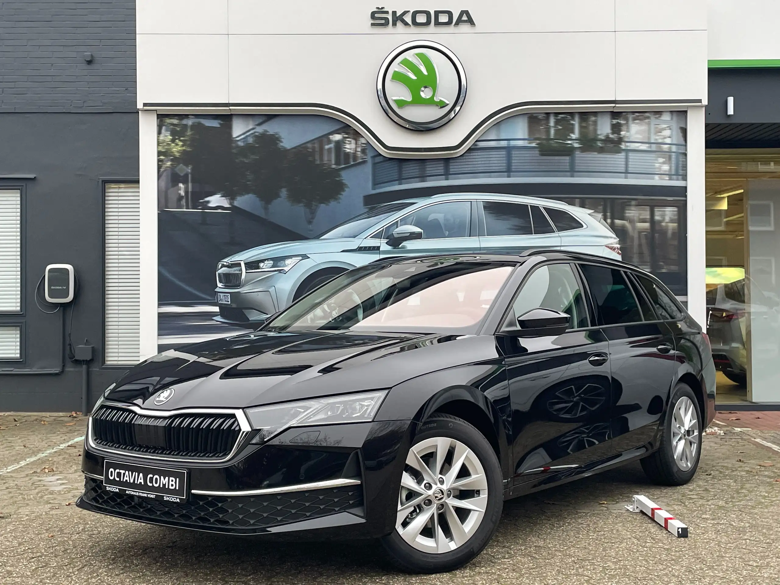 Skoda - Octavia