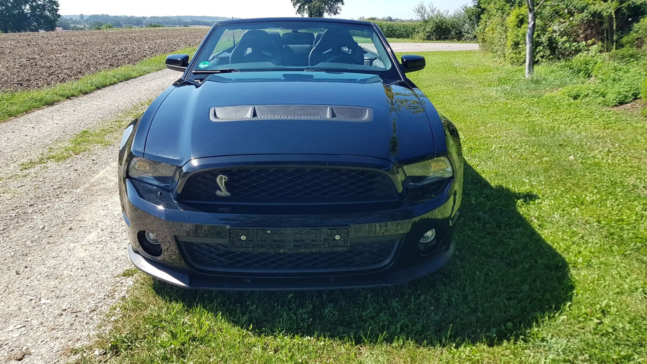 Ford - Mustang