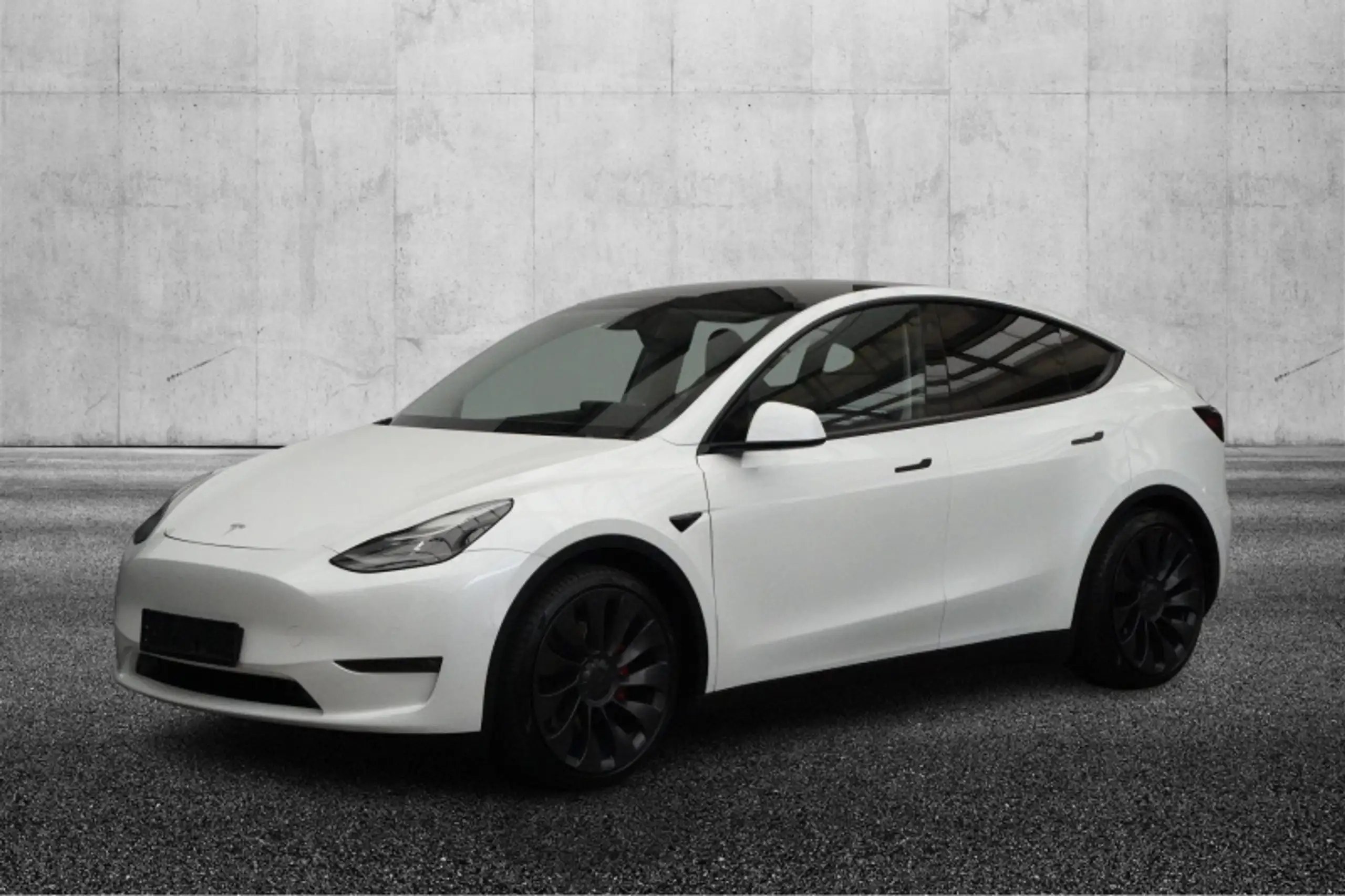 Tesla - Model Y